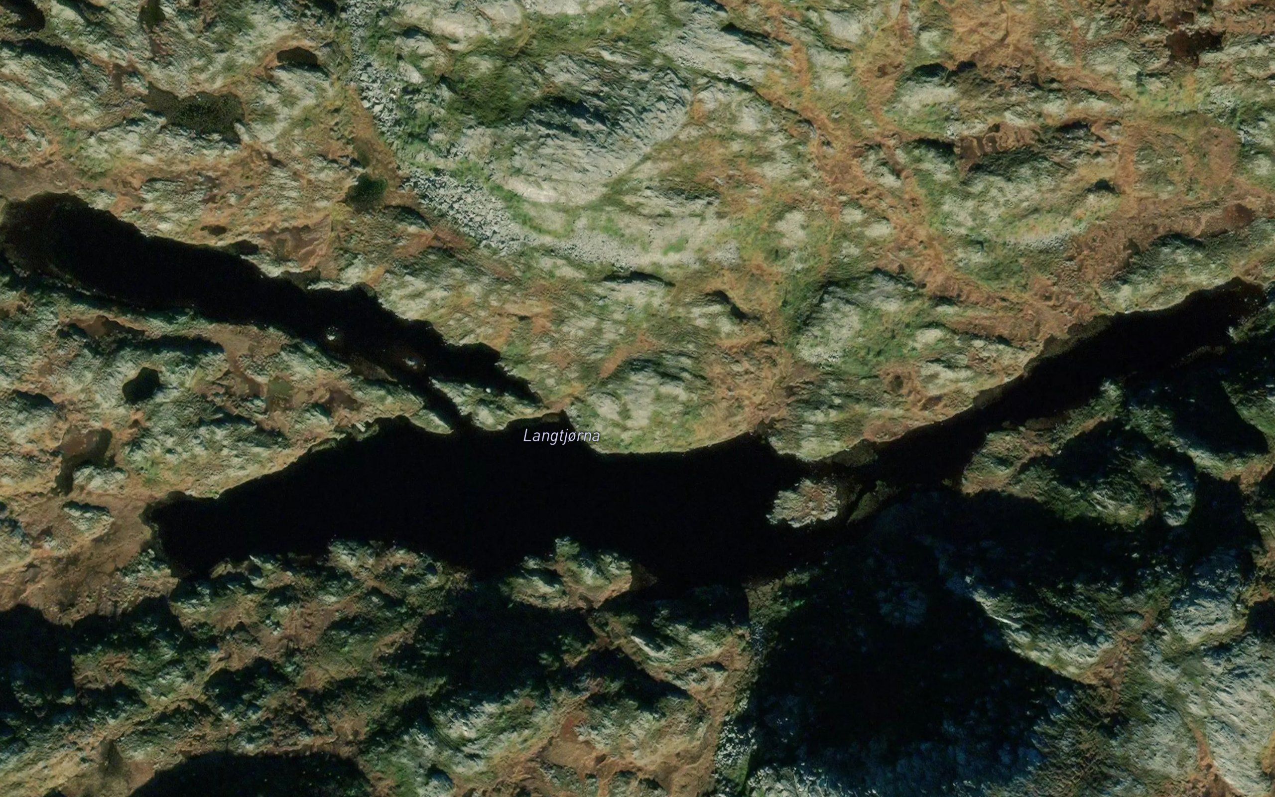Langtjorna