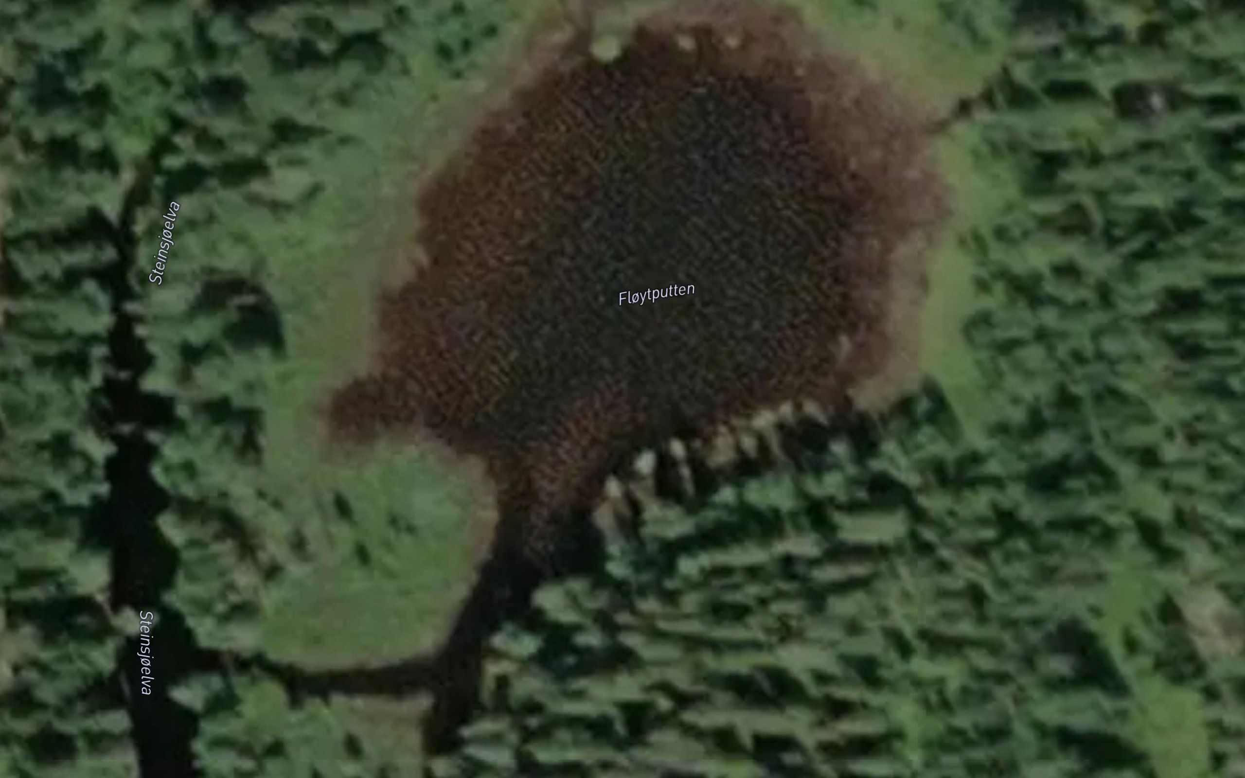 Floytputten