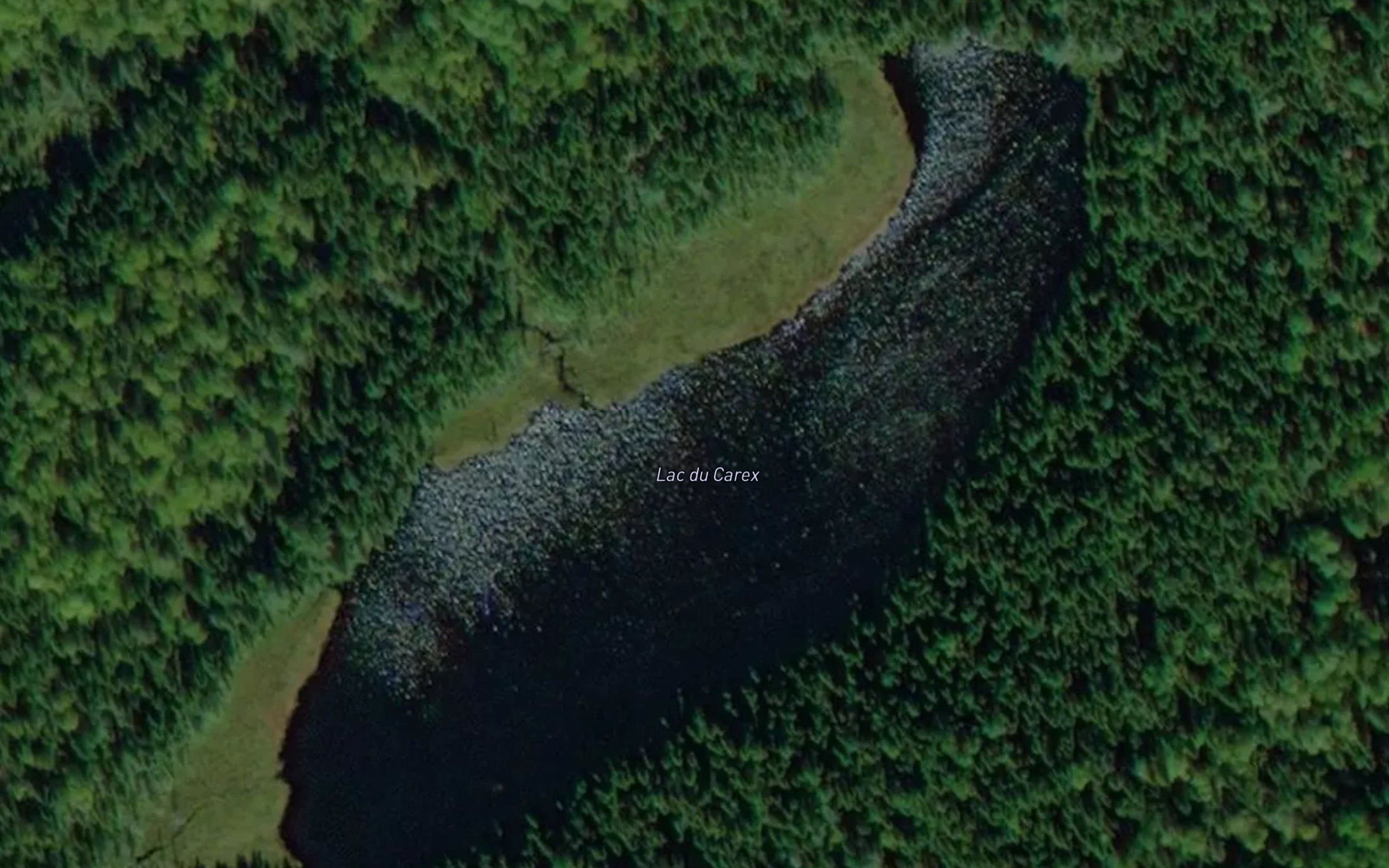 Lac du Carex