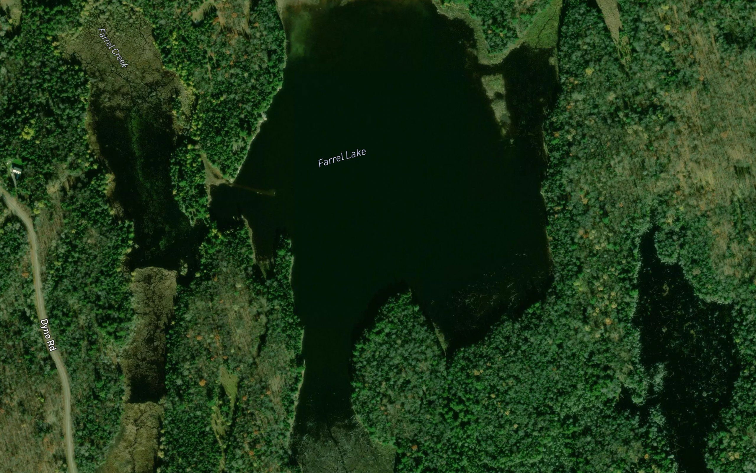Farrel Lake