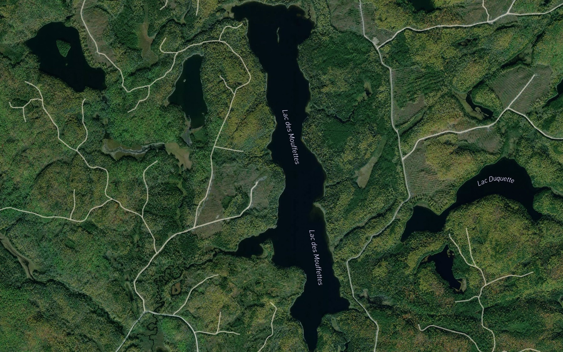 Satellite map of the Lac des Mouffettes