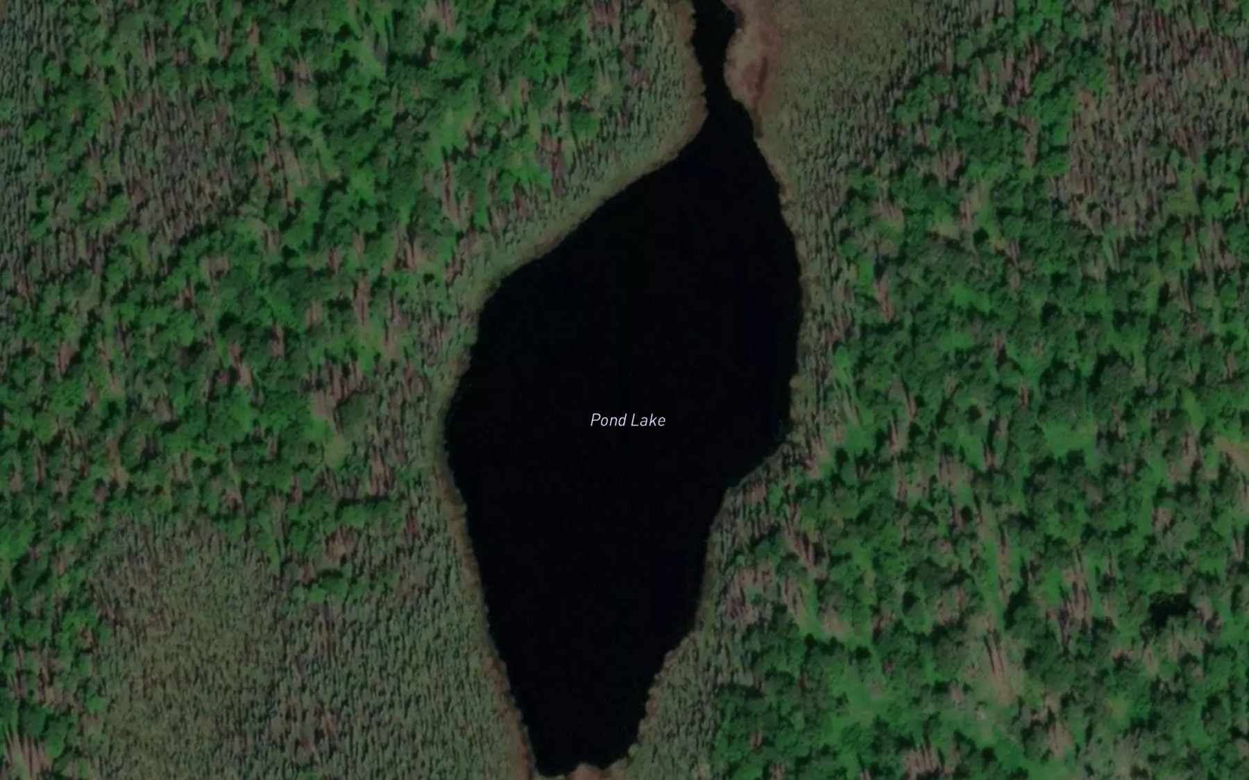 Satellite map of the Pond Lake