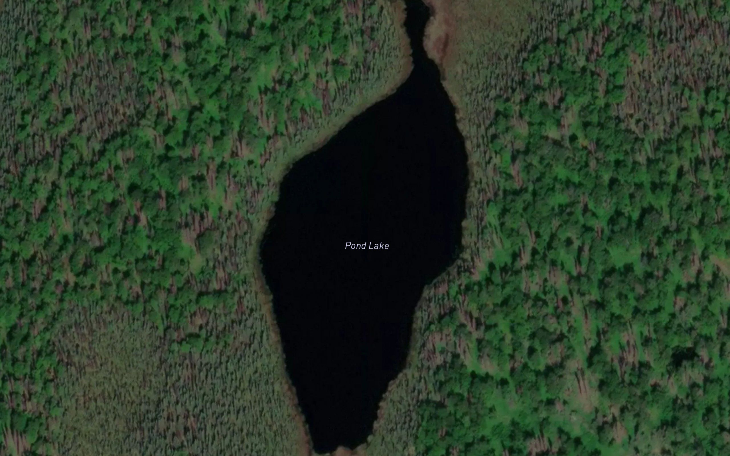 Pond Lake