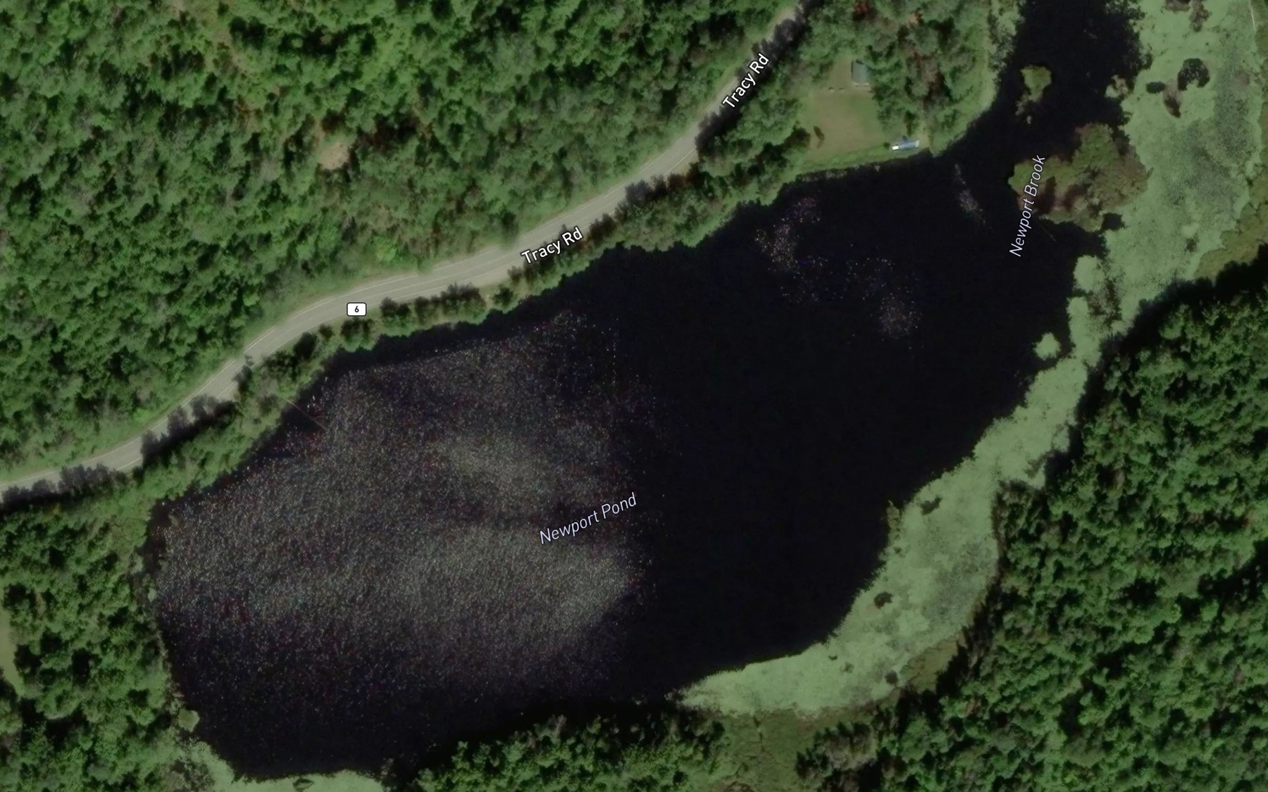 Satellite map of the Newport Pond