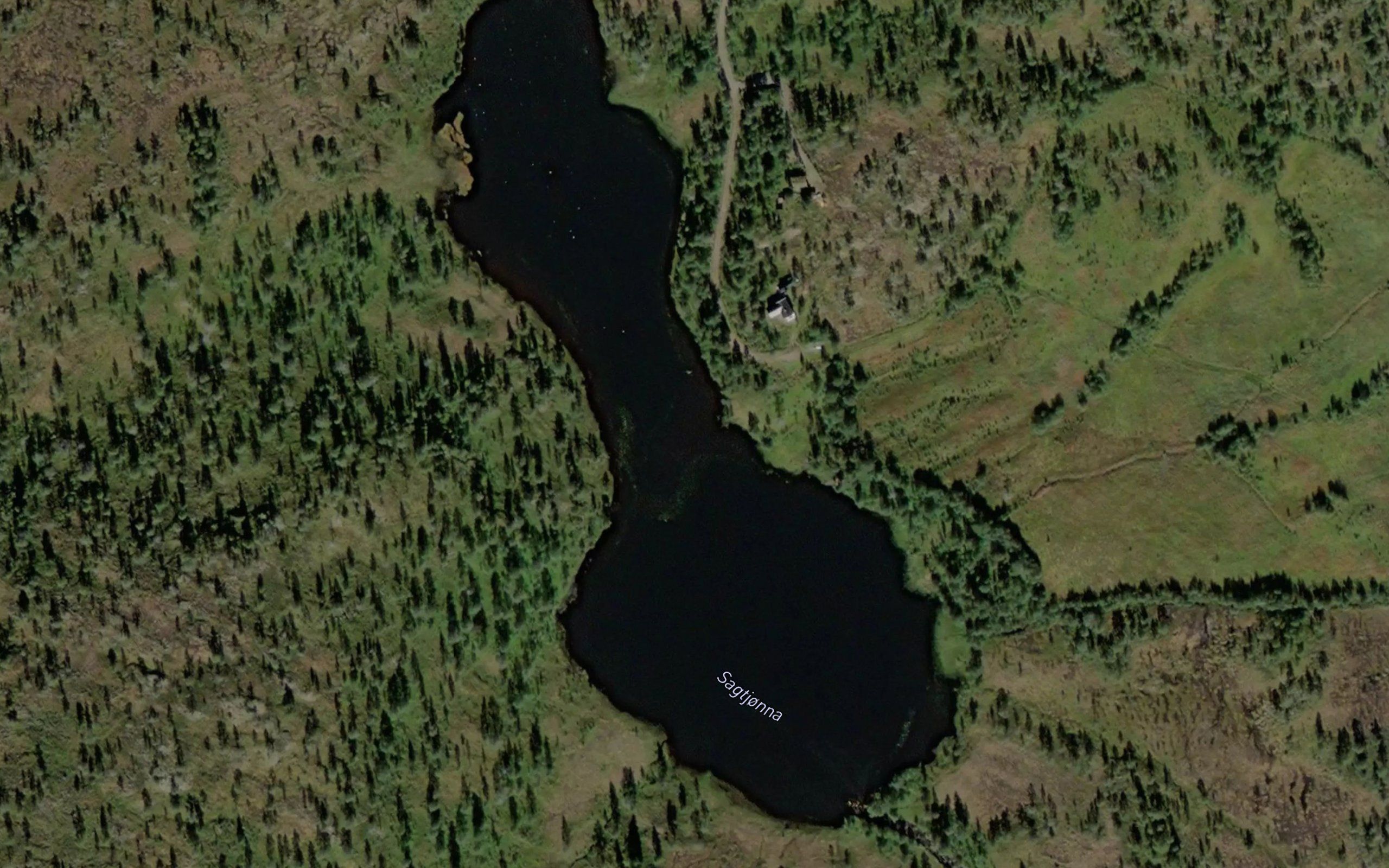 Sagtjorna