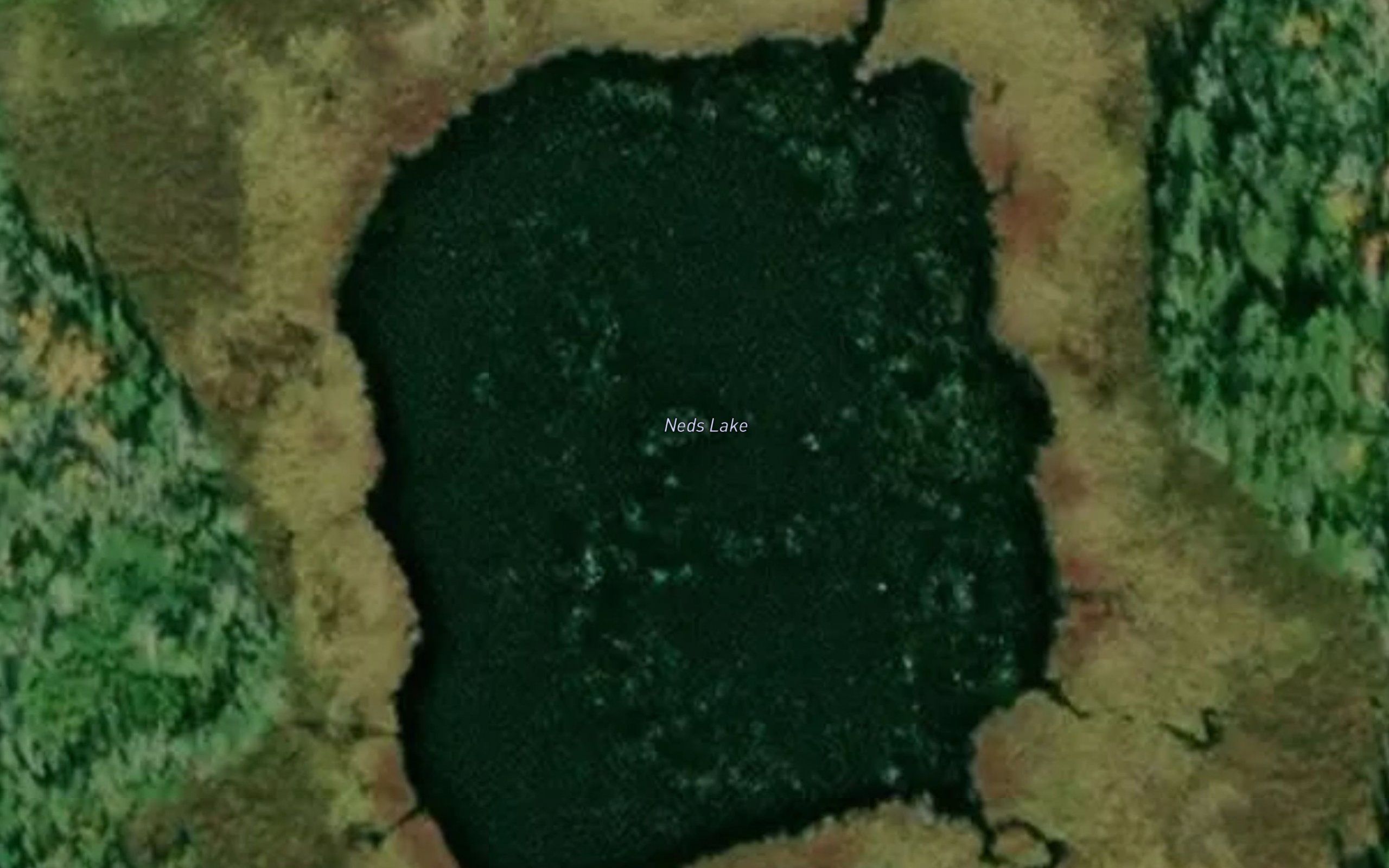 Neds Lake