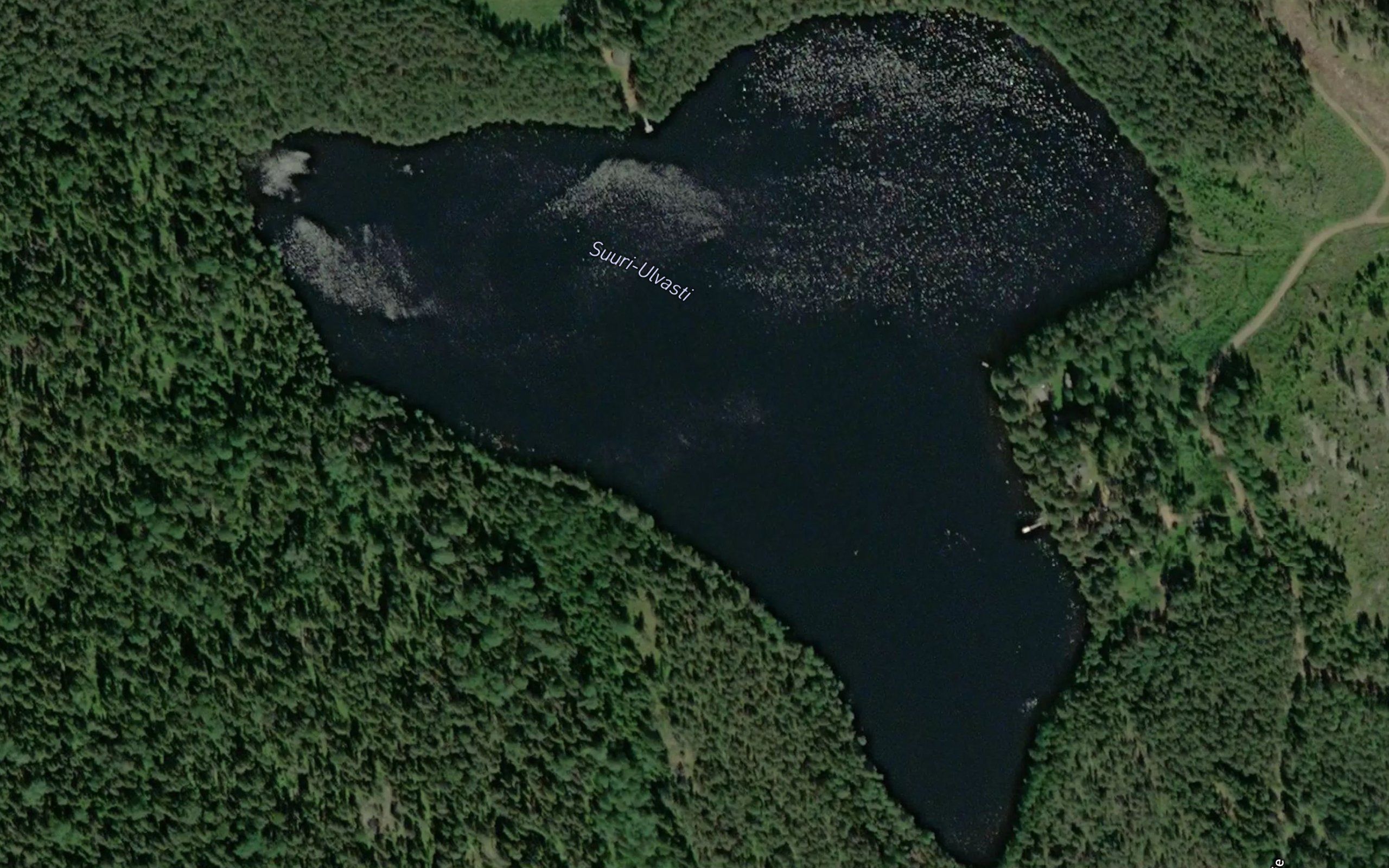 Suuri-Ulvasti