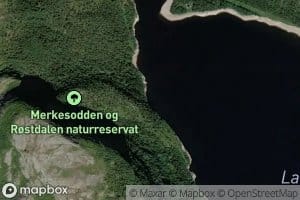 Malivikan
