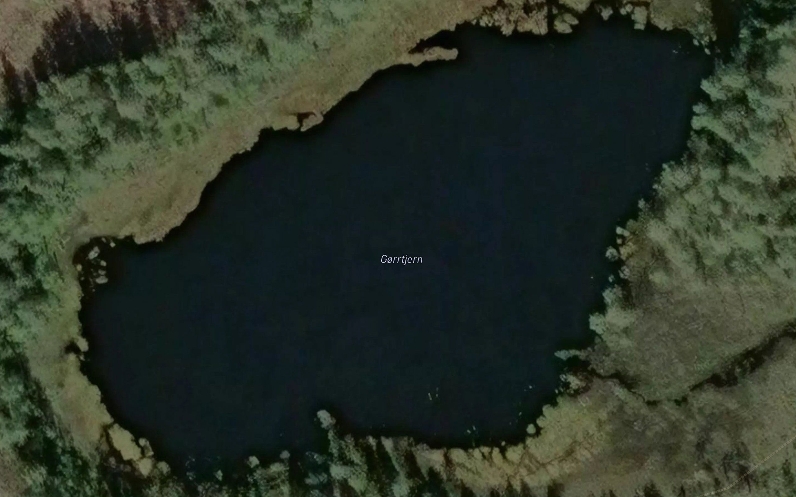 Gorrtjern