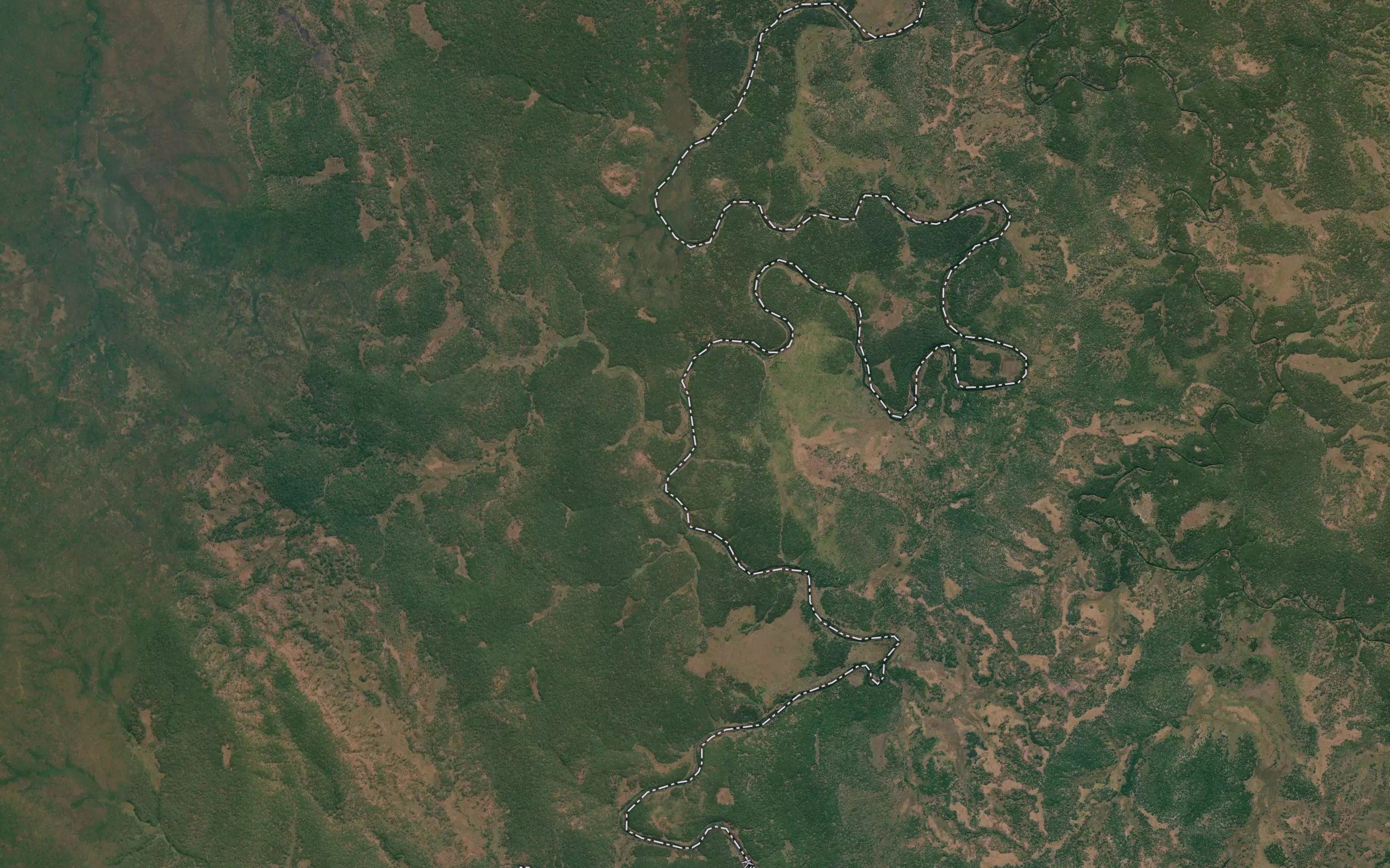 Camaue