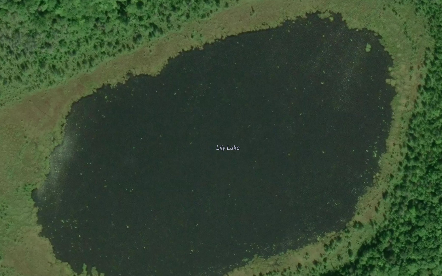Satellite map of the Lily Lake