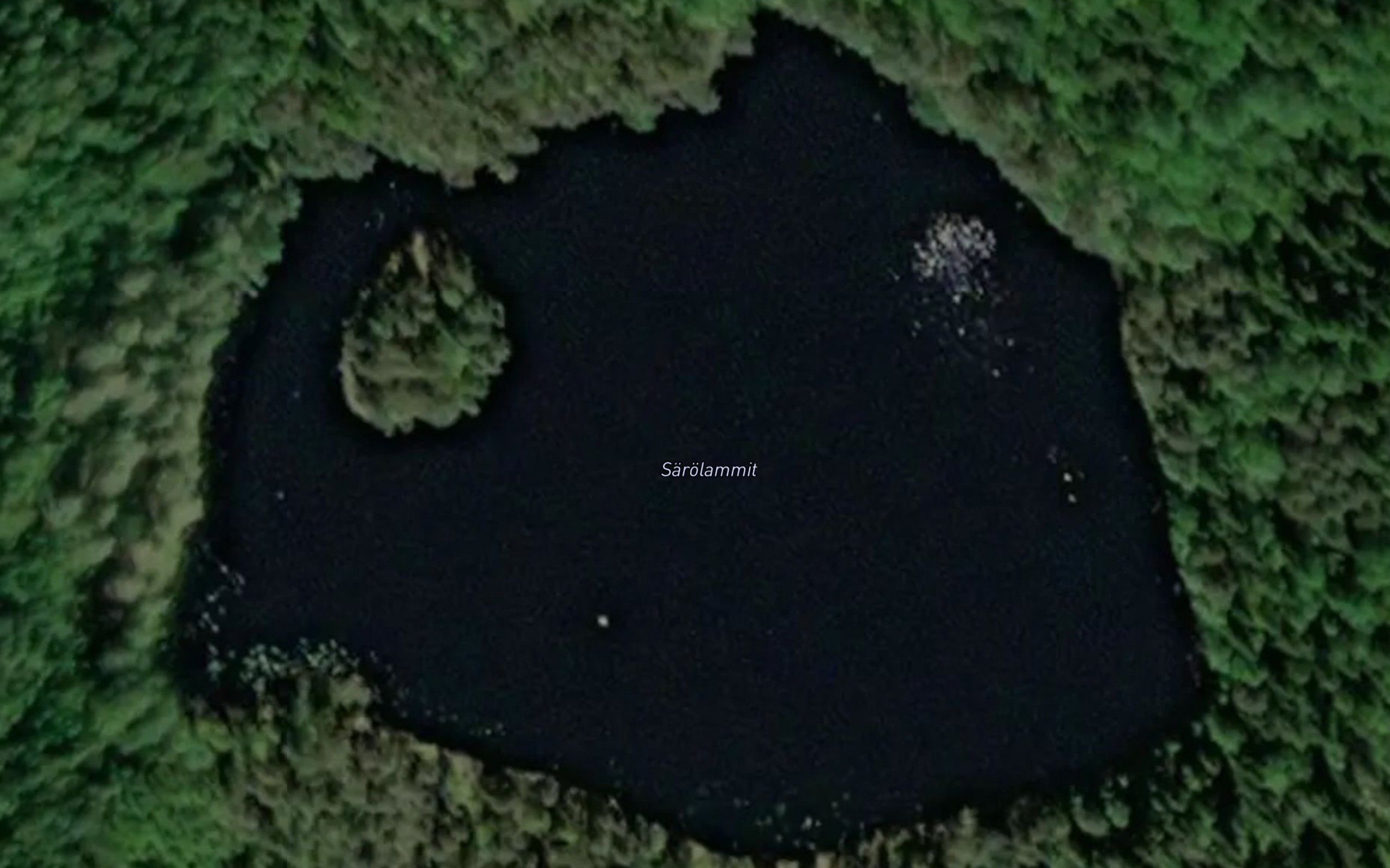 Sarolammit