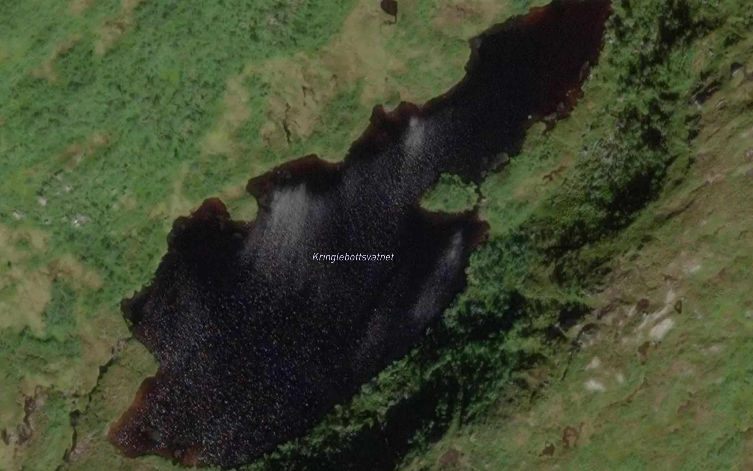 Hamrevatnet