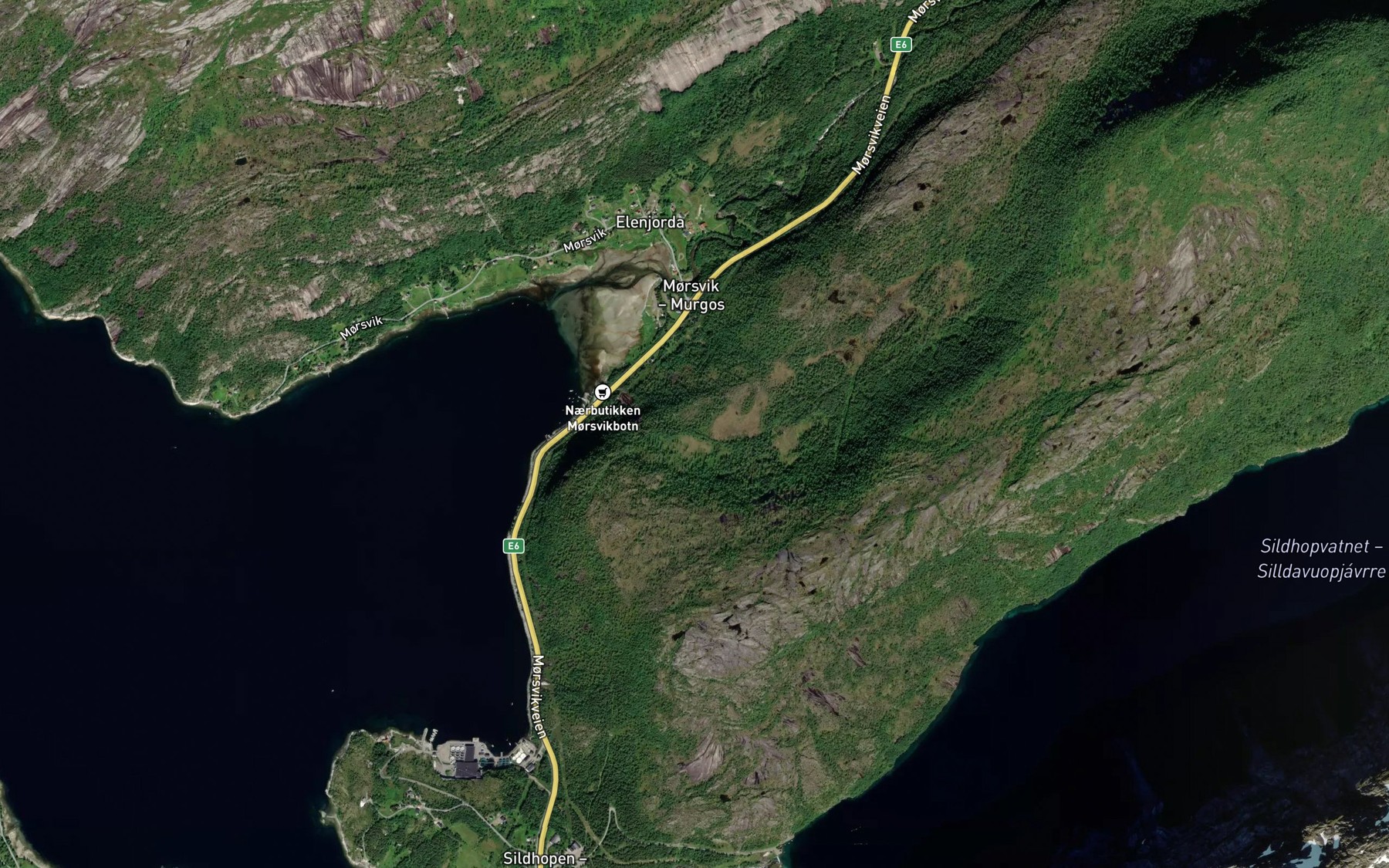 Satellite map of the Sirielva