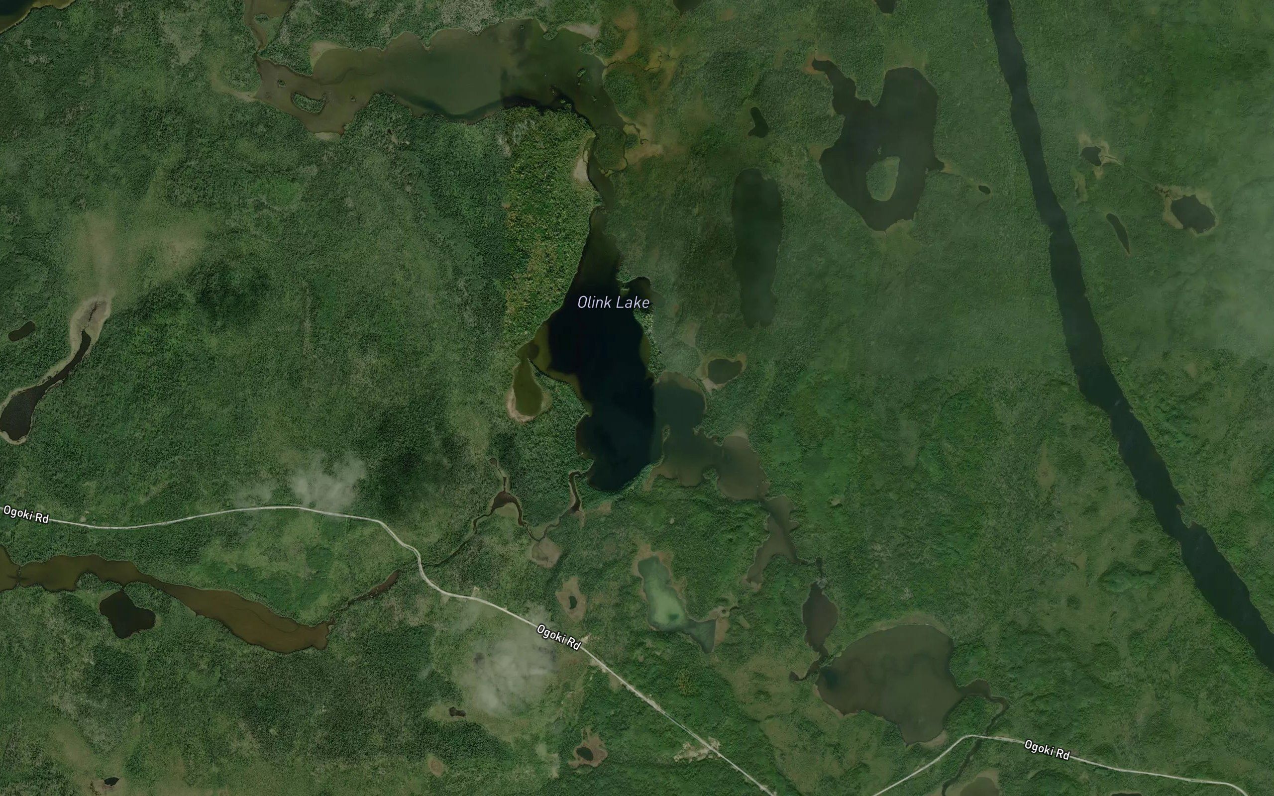 Olink Lake