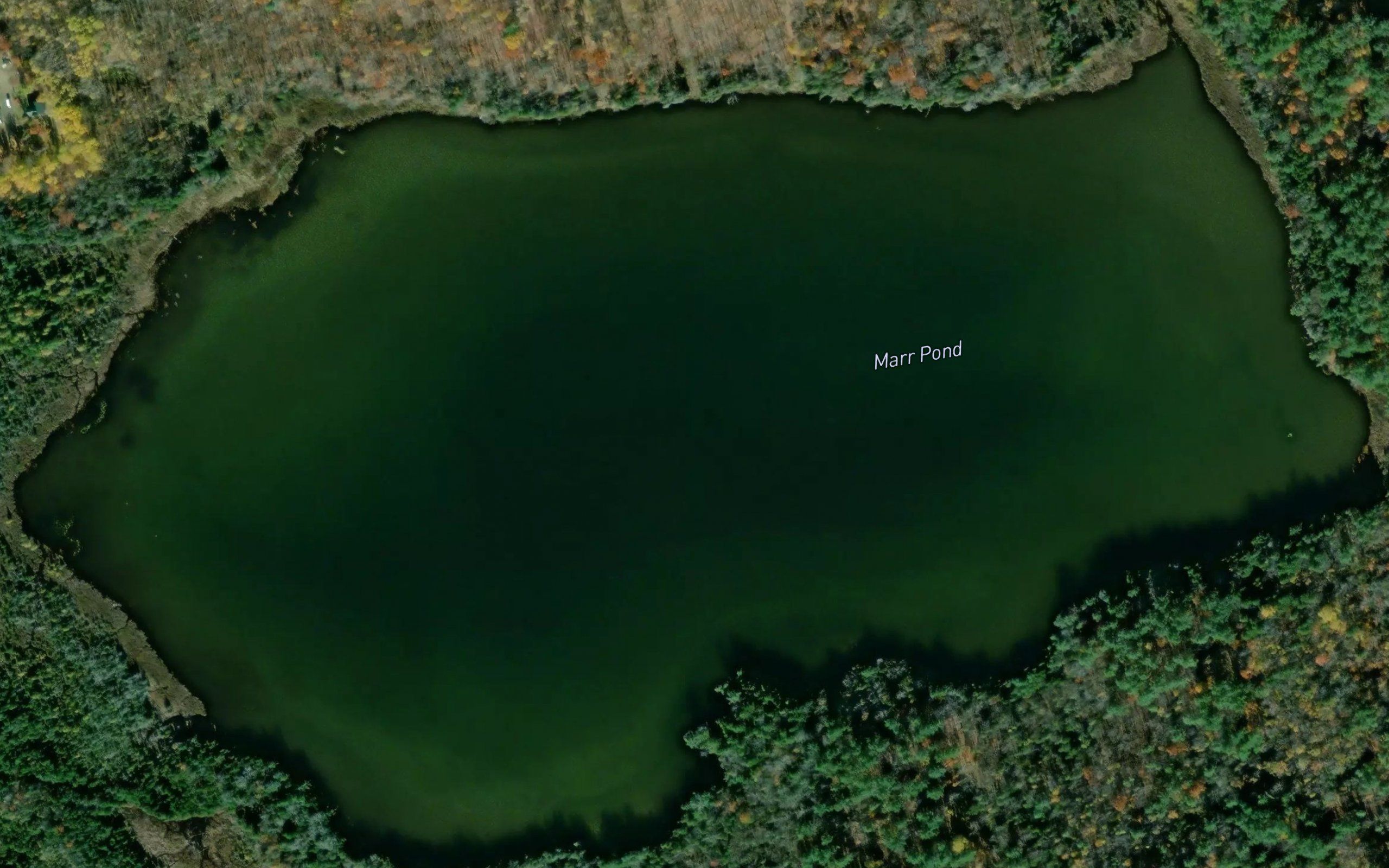 Marr Pond