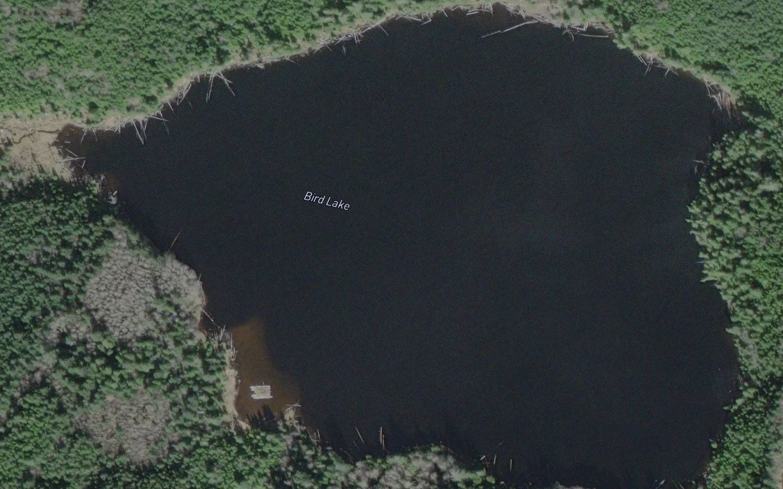 Bird Lake