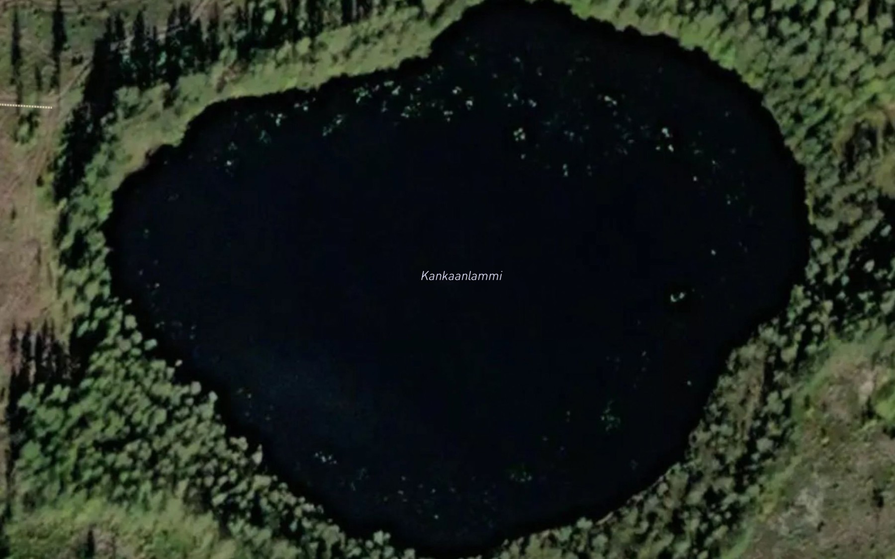 Satellite map of the Kankaanlammi
