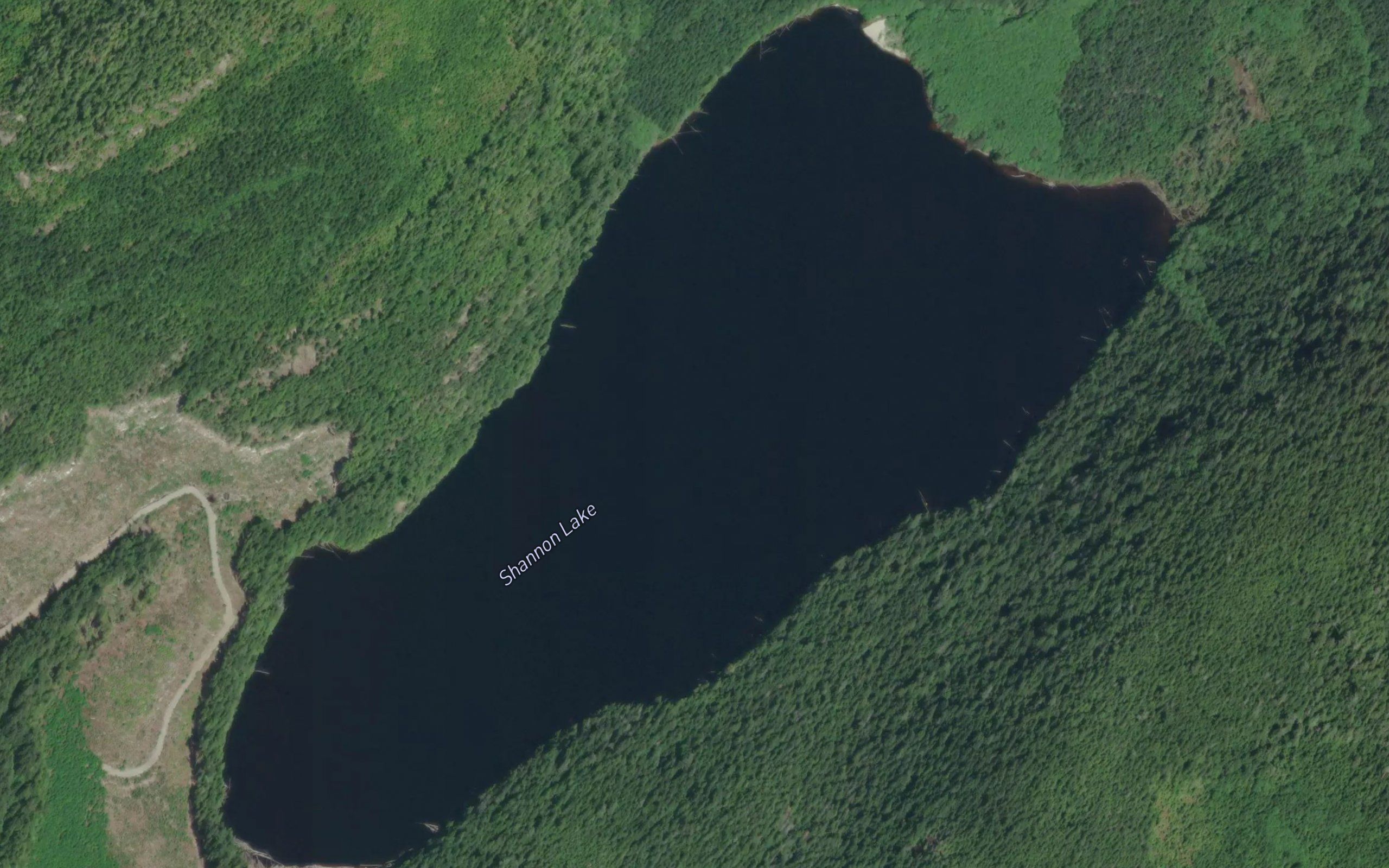 Shannon Lake