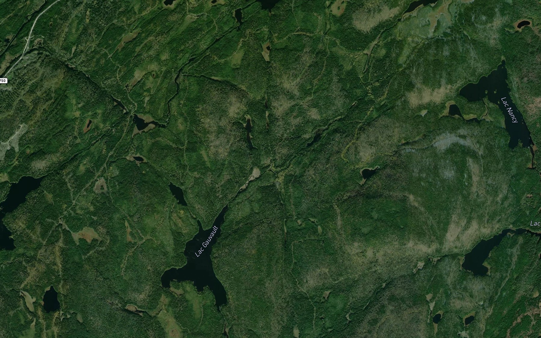 Satellite map of the Lac Parallele
