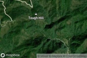 Tough Hill Branch