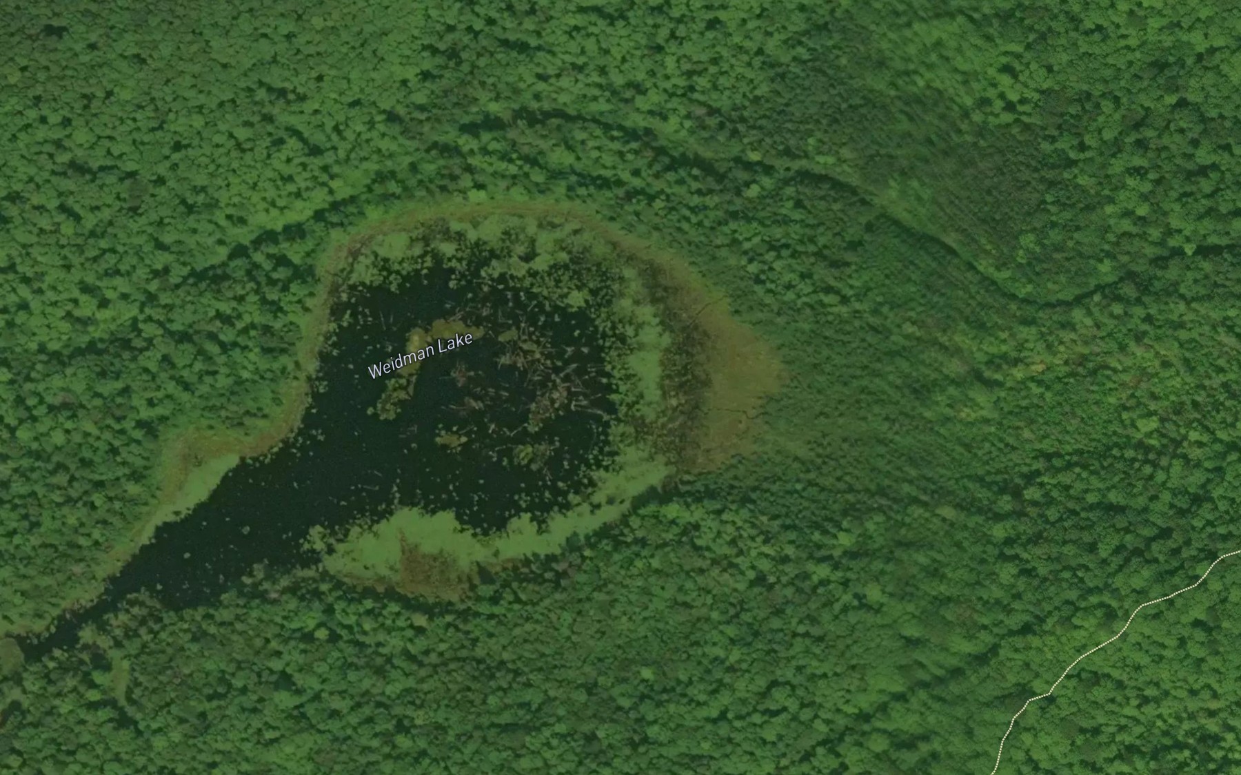 Satellite map of the Weidman Lake