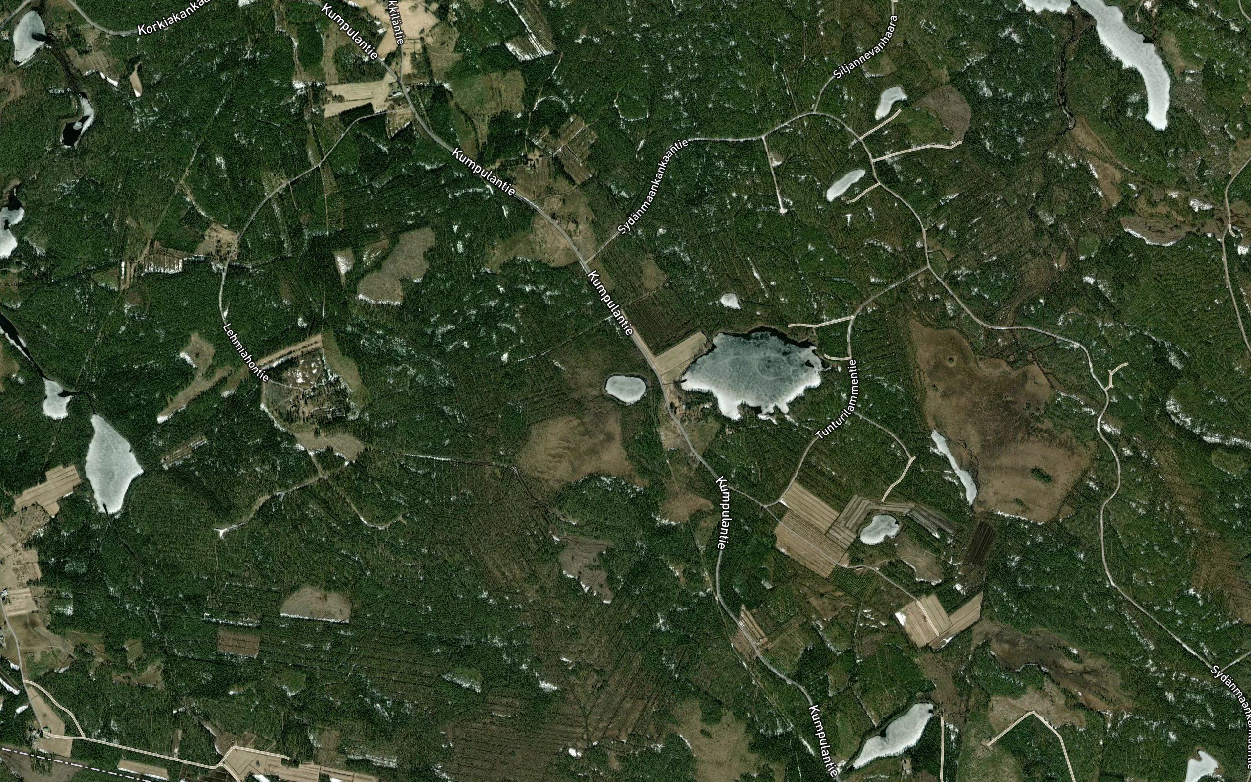 Haukkalampi