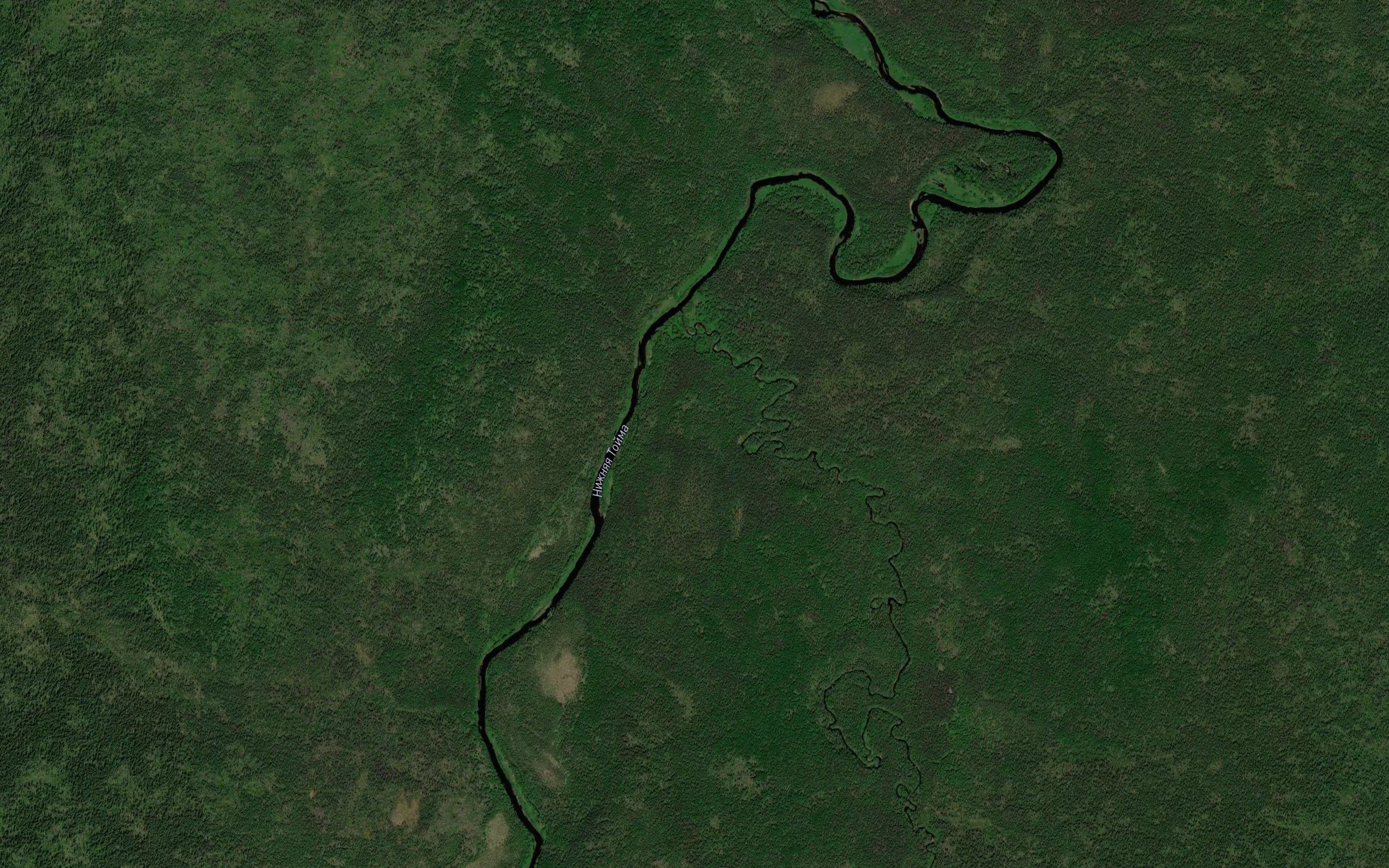 Kodima