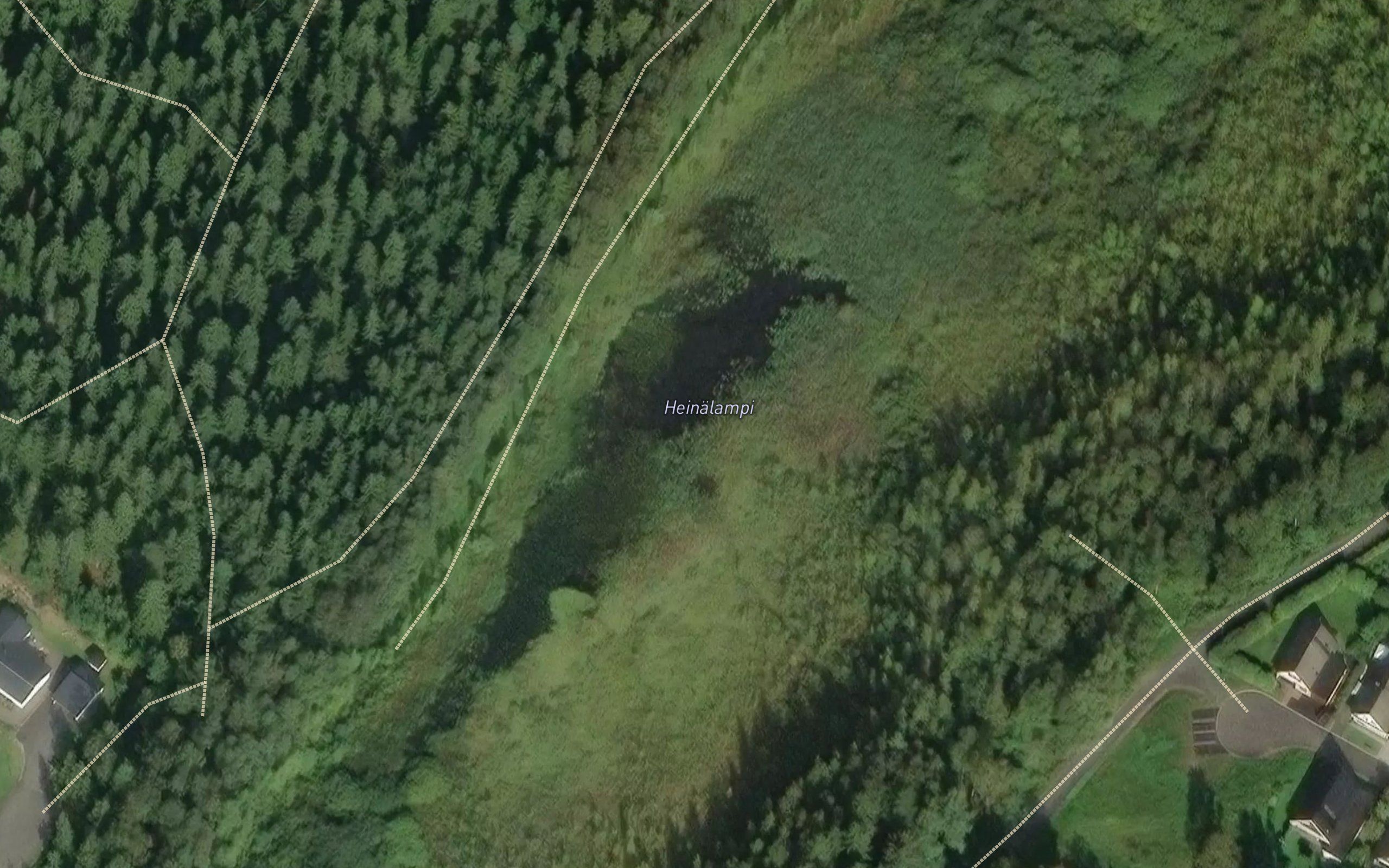 Heinaelampi