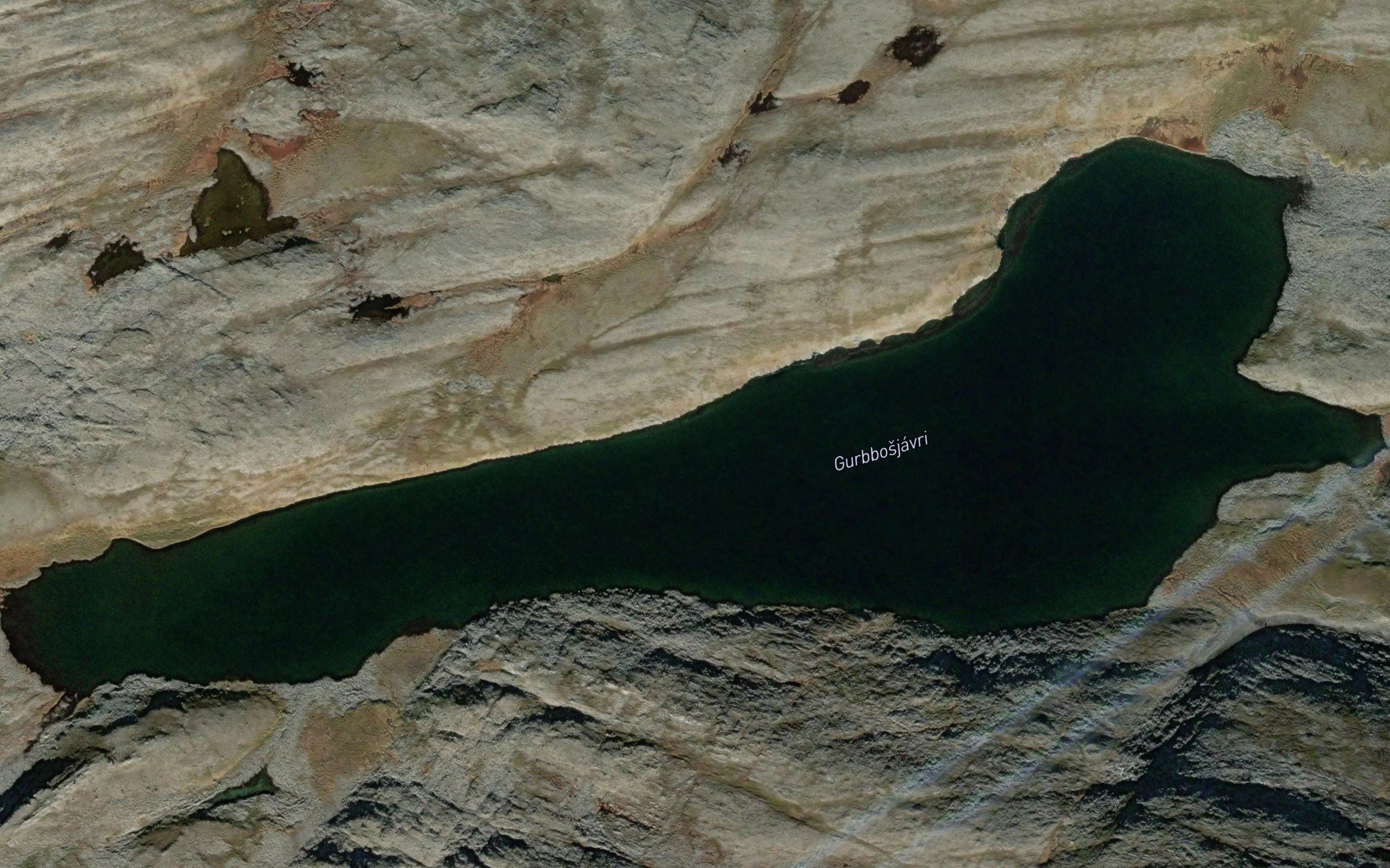 Gurbbosjavri