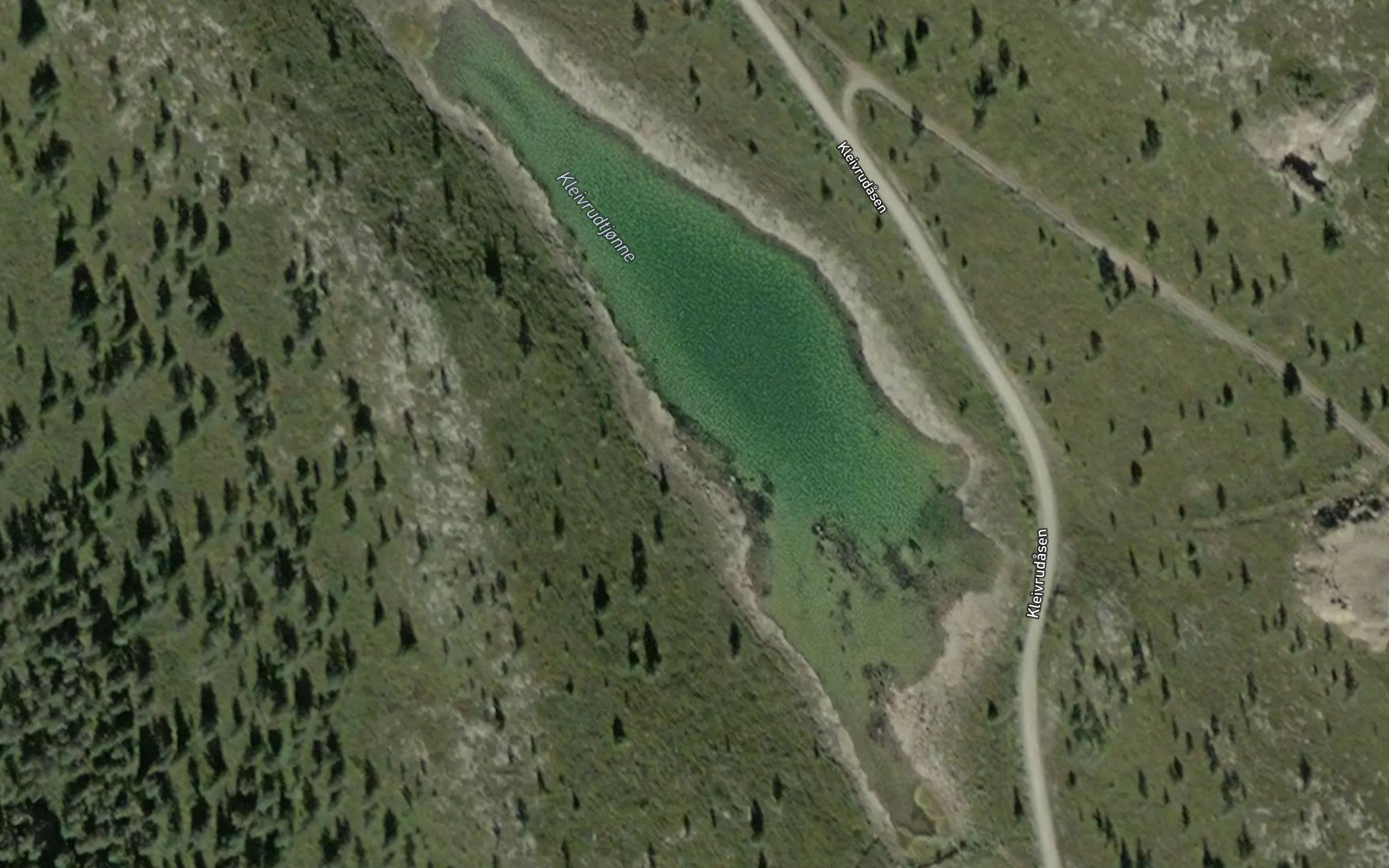 Kleivrudtjorni
