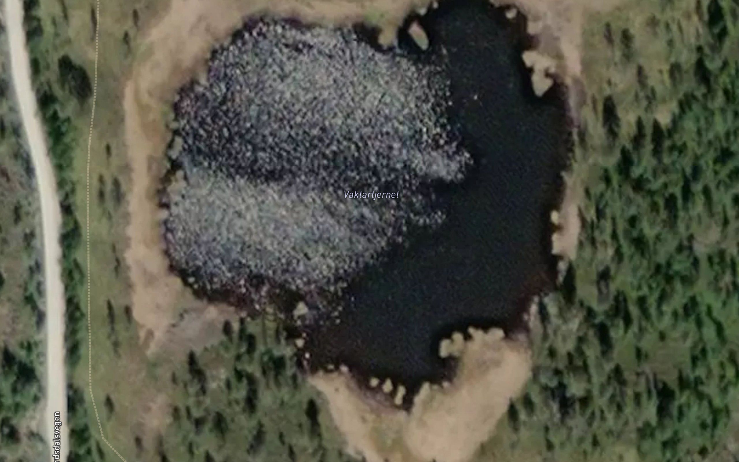 Vaktartjernet
