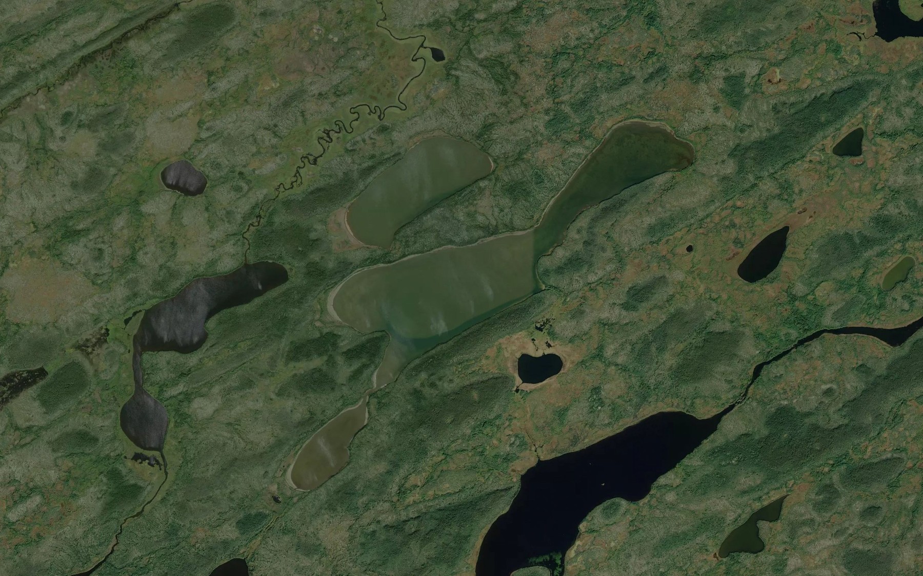 Satellite map of the Walter Black Lake