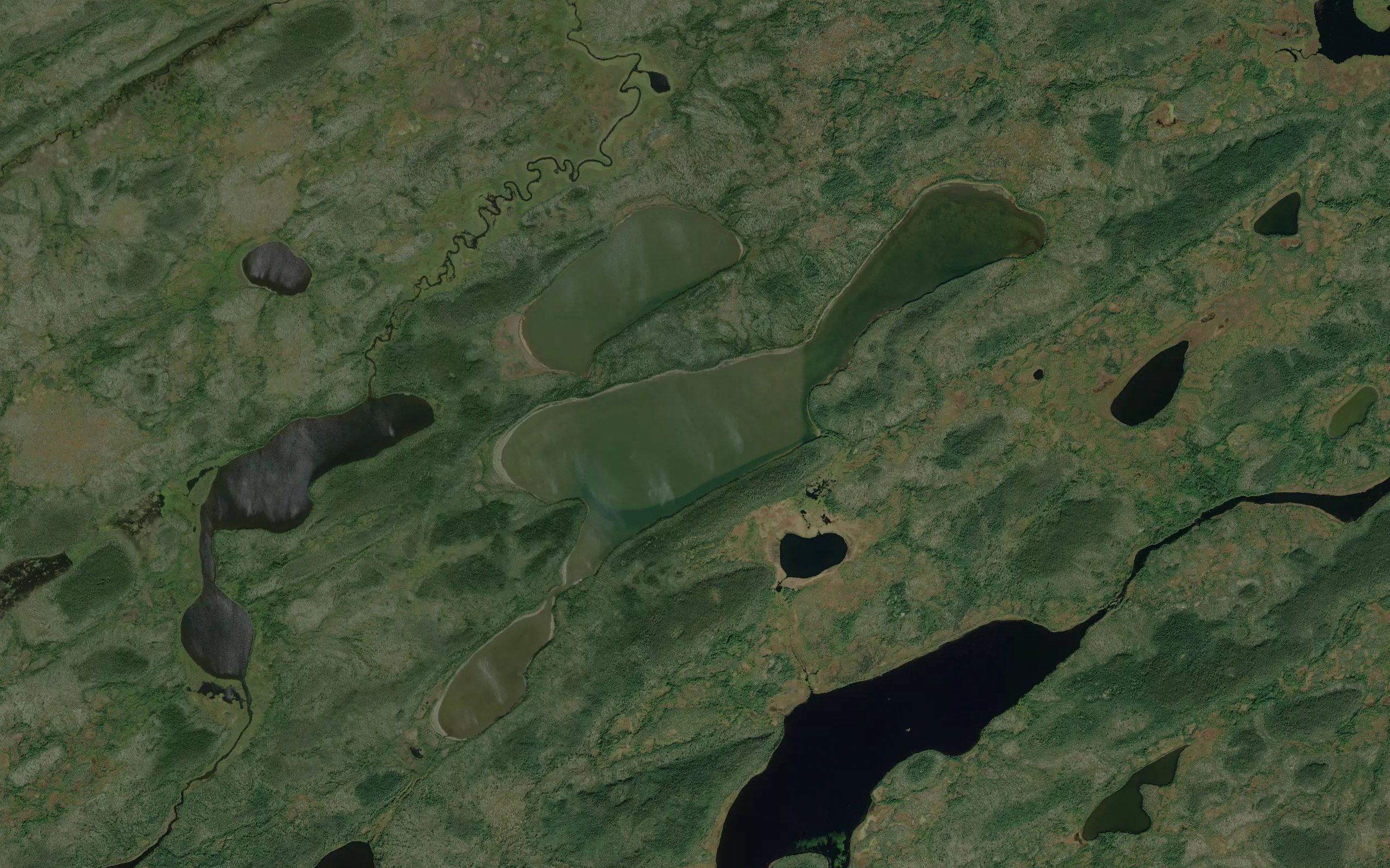 Walter Black Lake