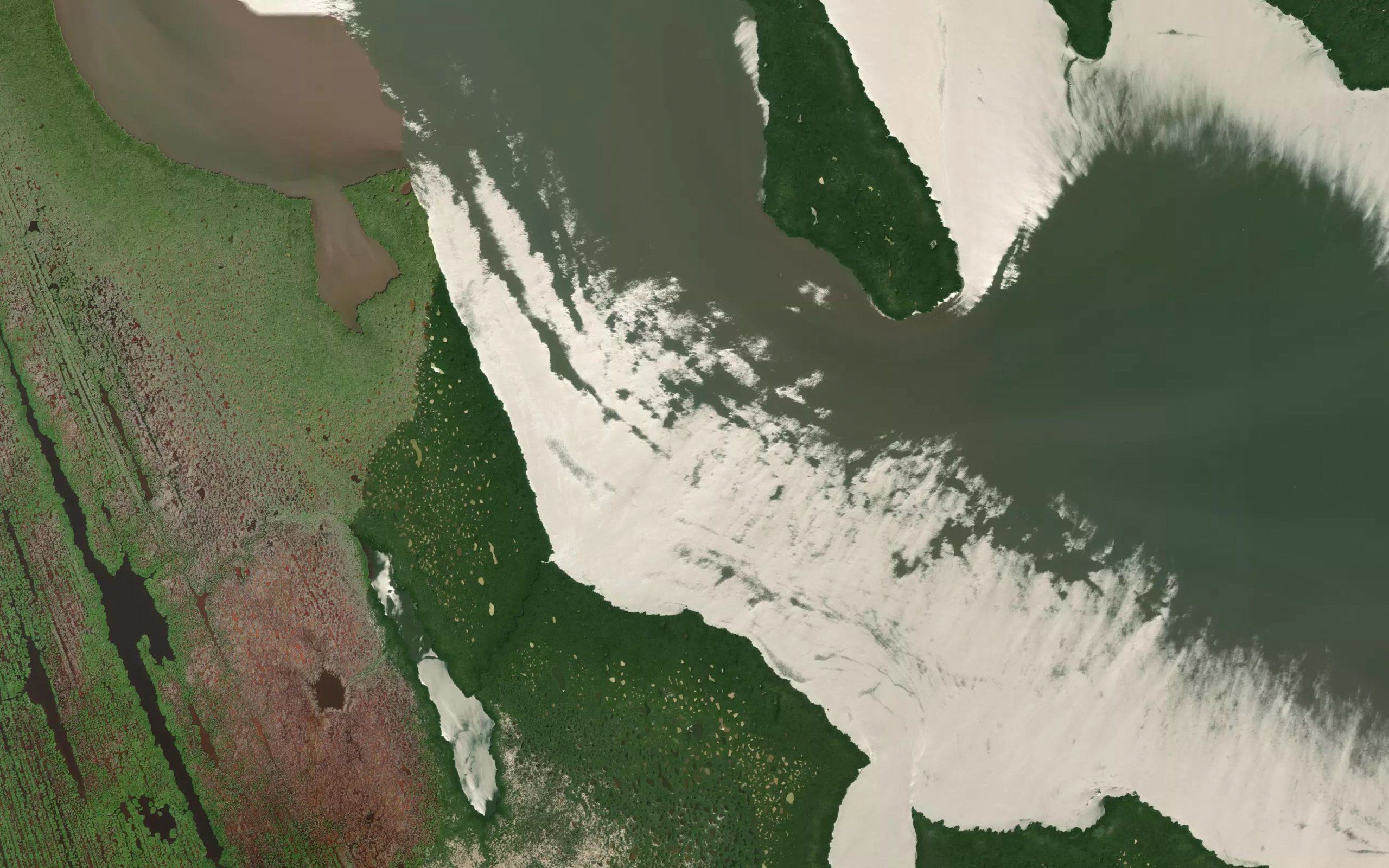 Laguna de los Flores