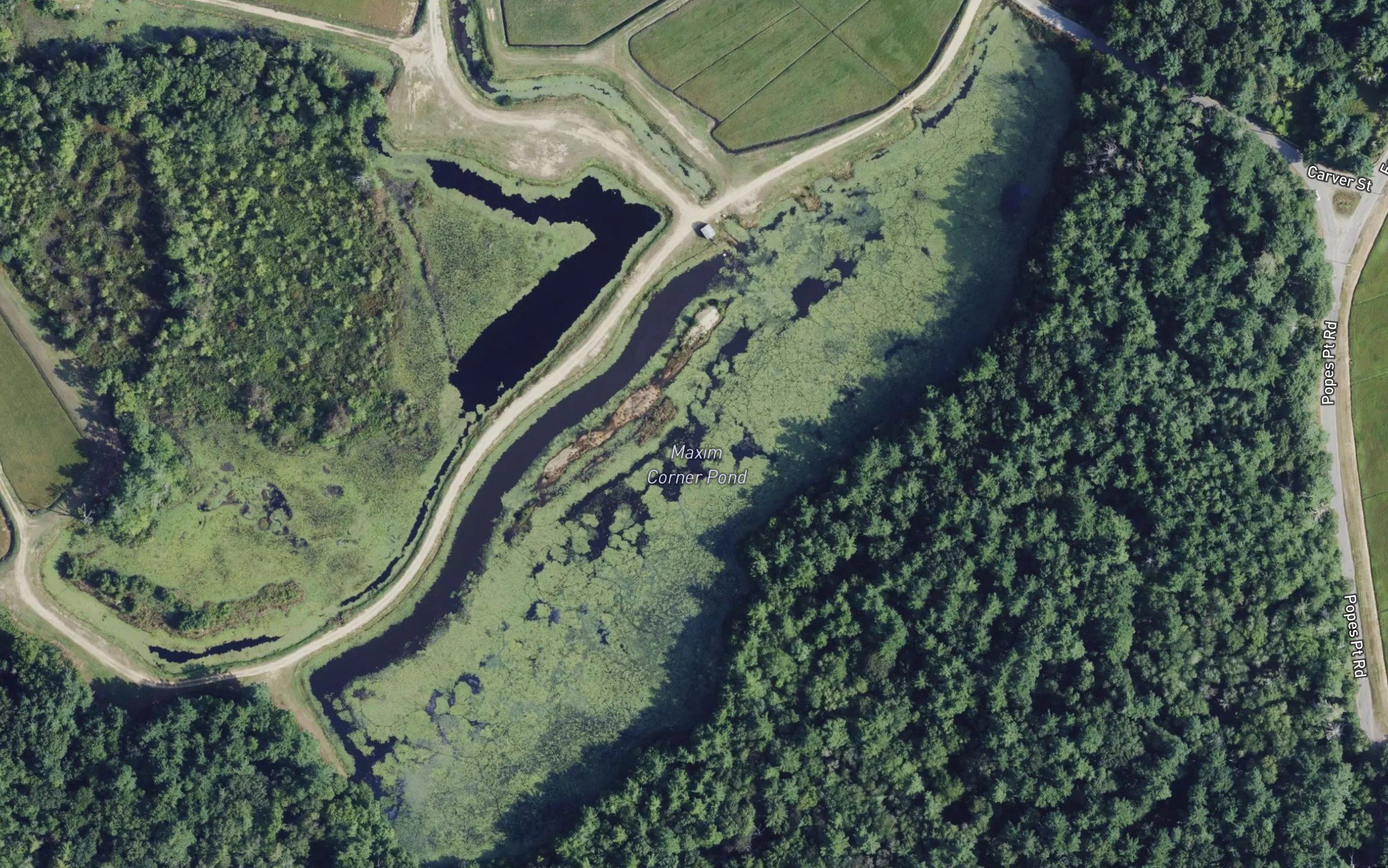 Maxim Corner Pond