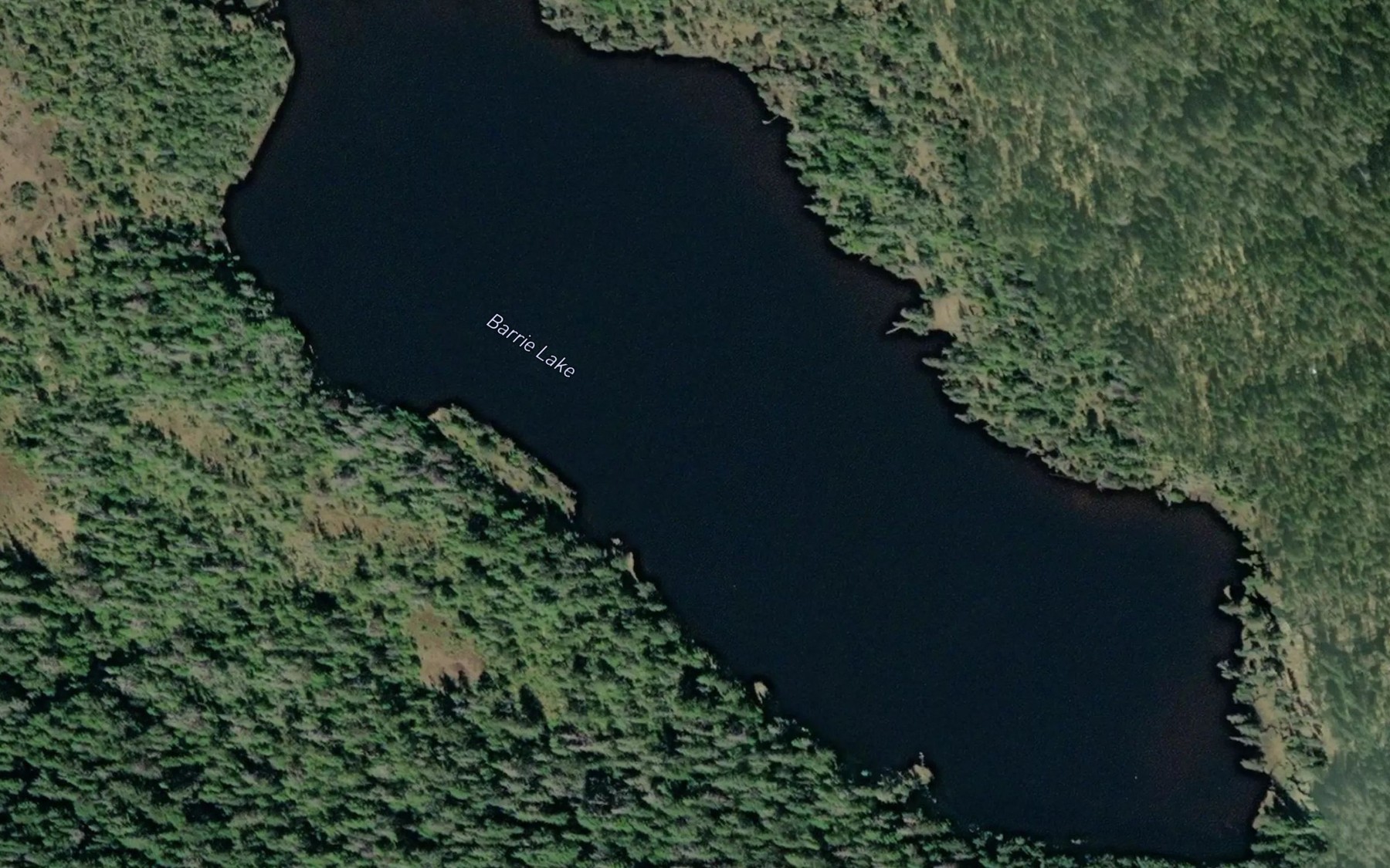 Satellite map of the Barrie Lake