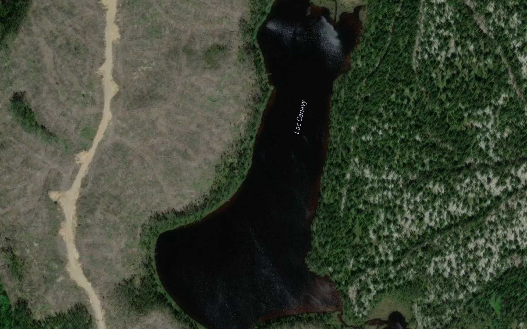 Satellite map of the Lac Canavy