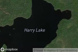 Harry Lake