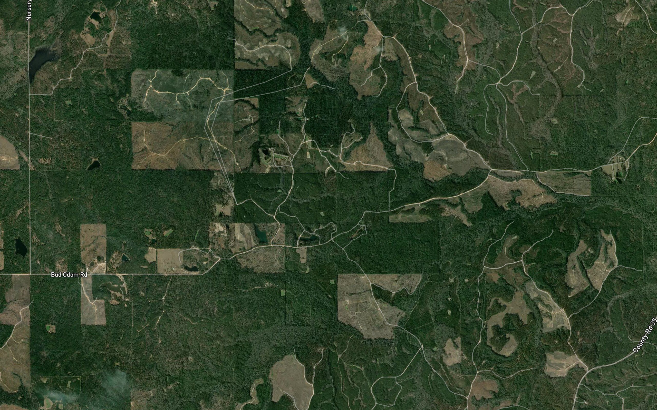 Tensaw Land and Timber Co Pond