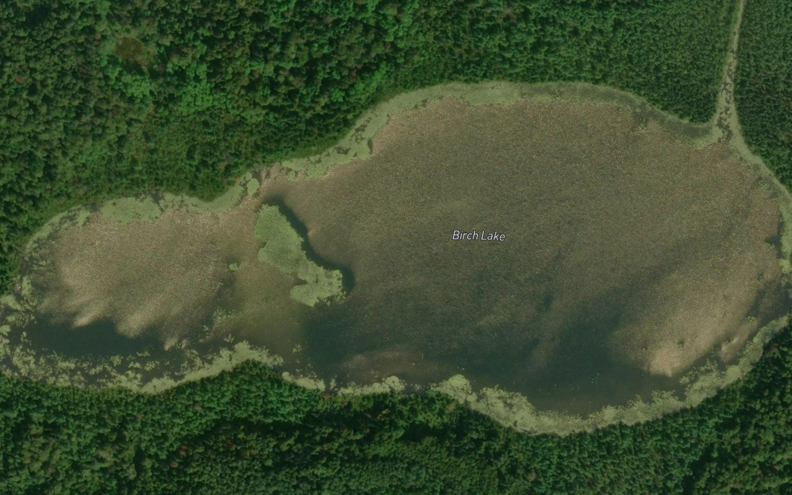 Birch Lake