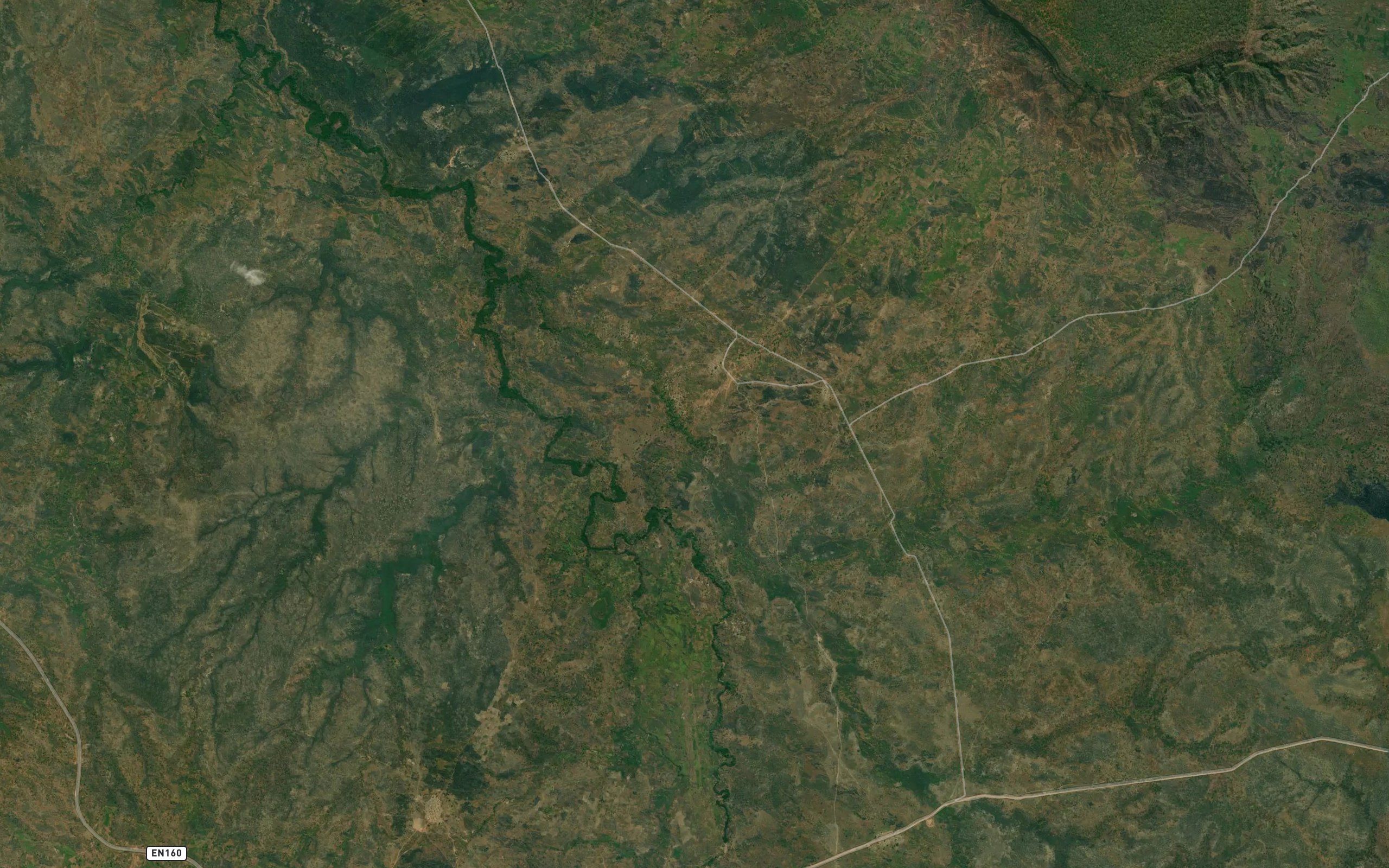 Camiginia