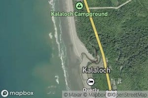 Kalaloch Creek