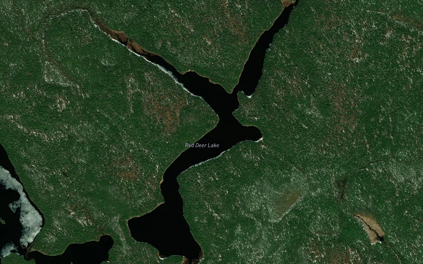 Satellite map of the Red Deer Lake