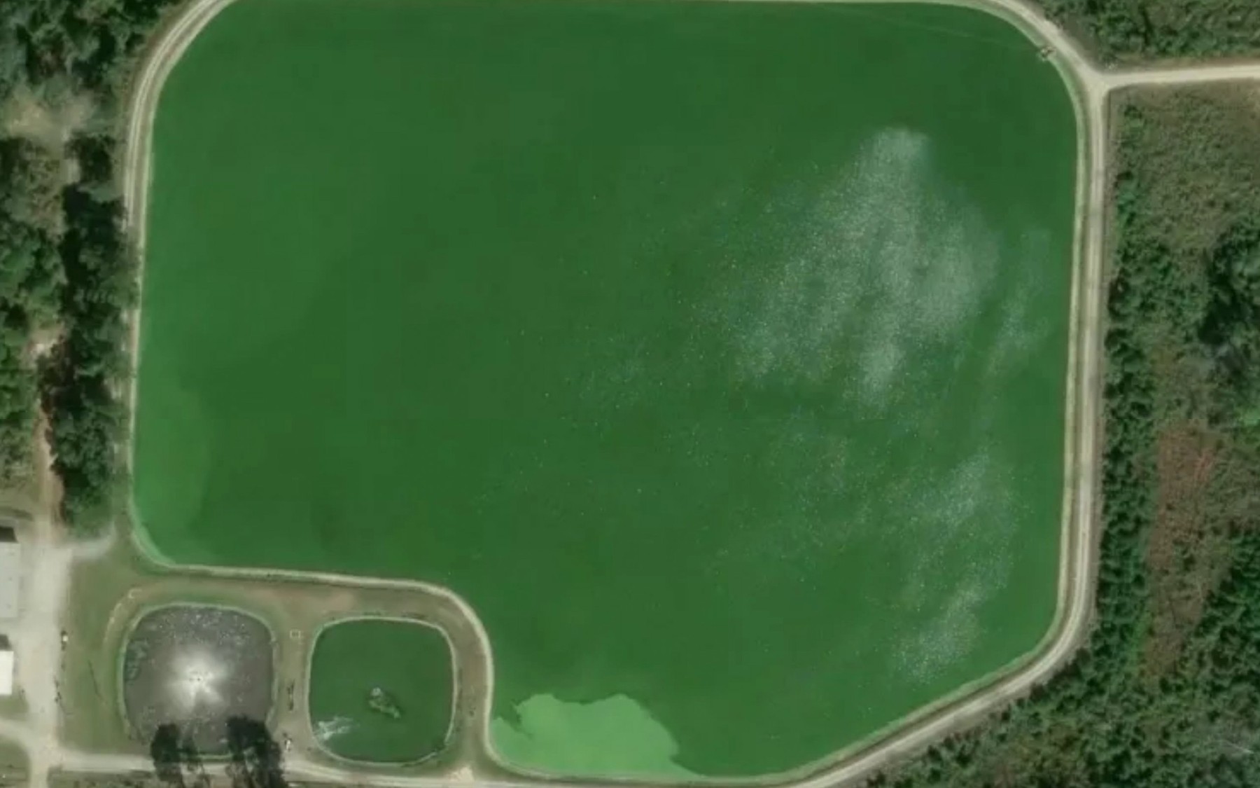 Satellite map of the Claxton Sewage Treatment Pond