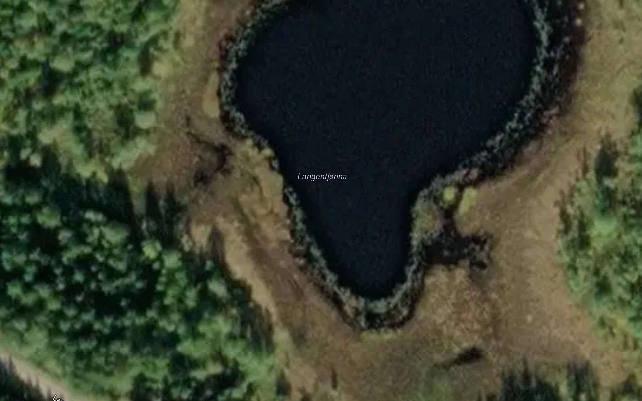 Langentjonna