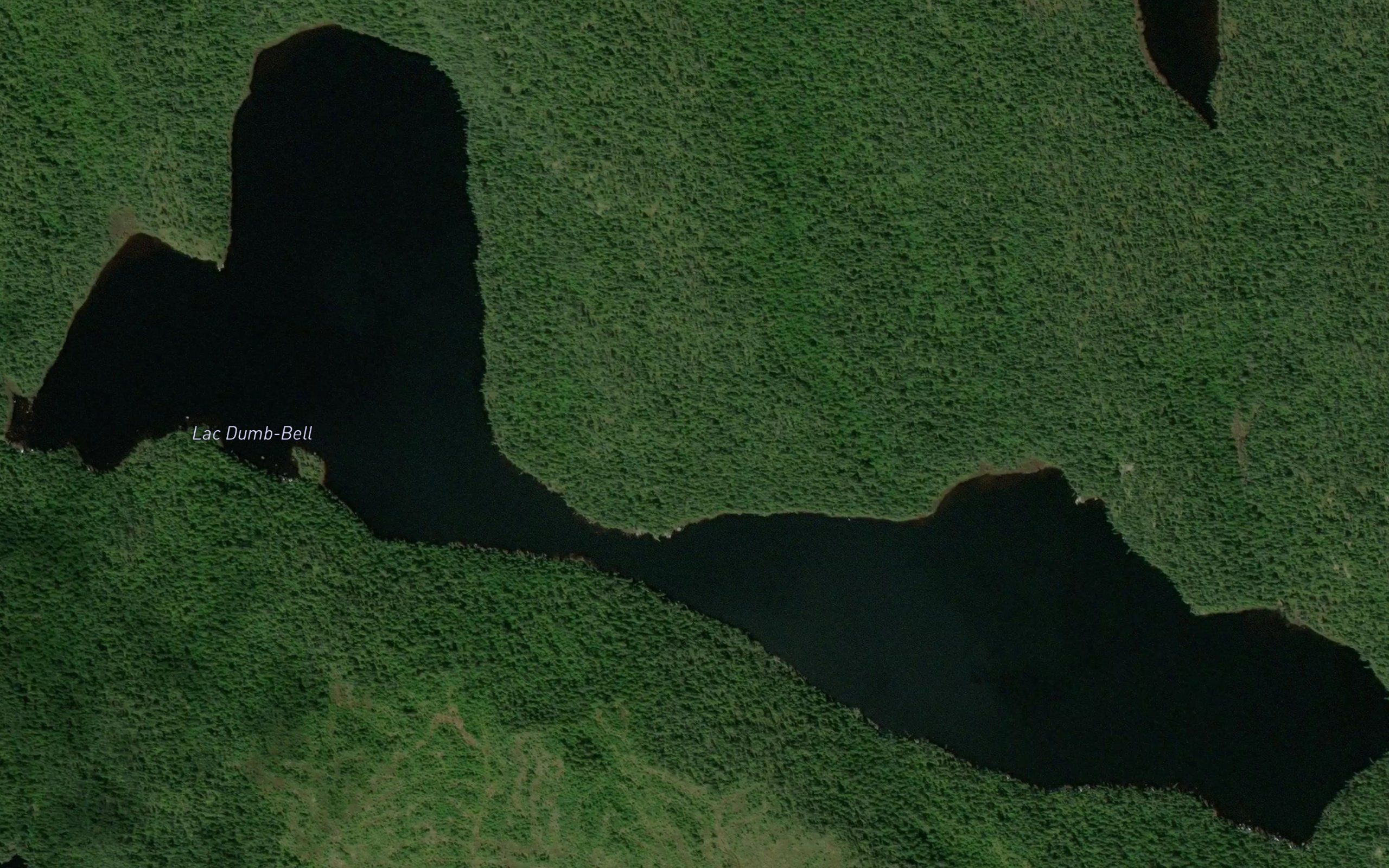 Lac Dumb-Bell