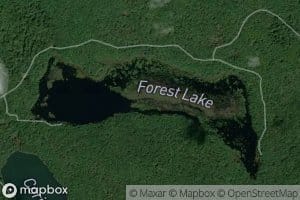 Forest Lake