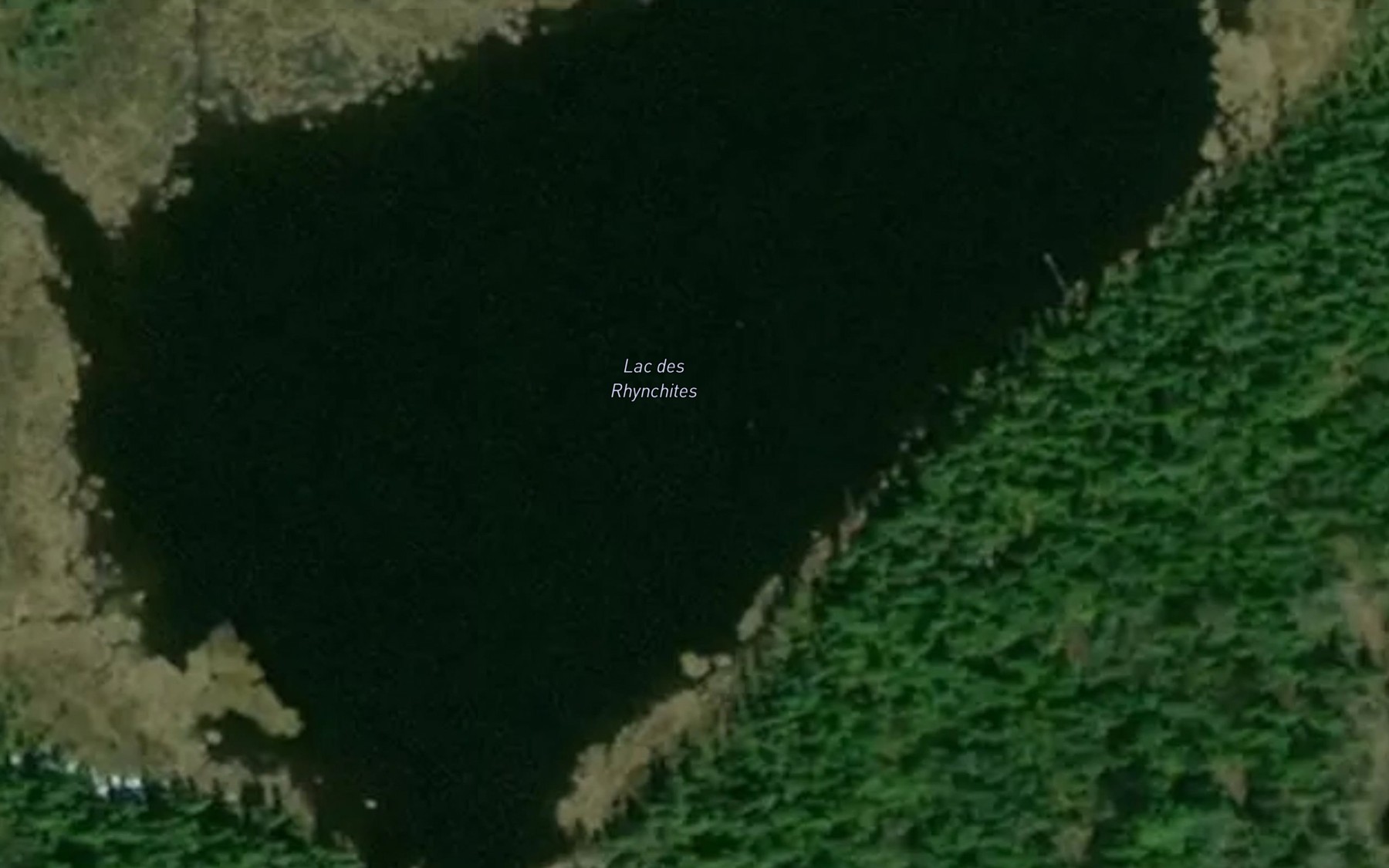 Satellite map of the Lac des Rhynchites