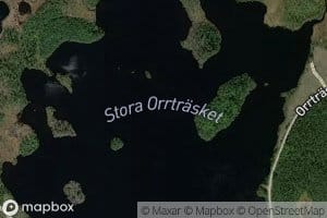 Stora Orrtraesket
